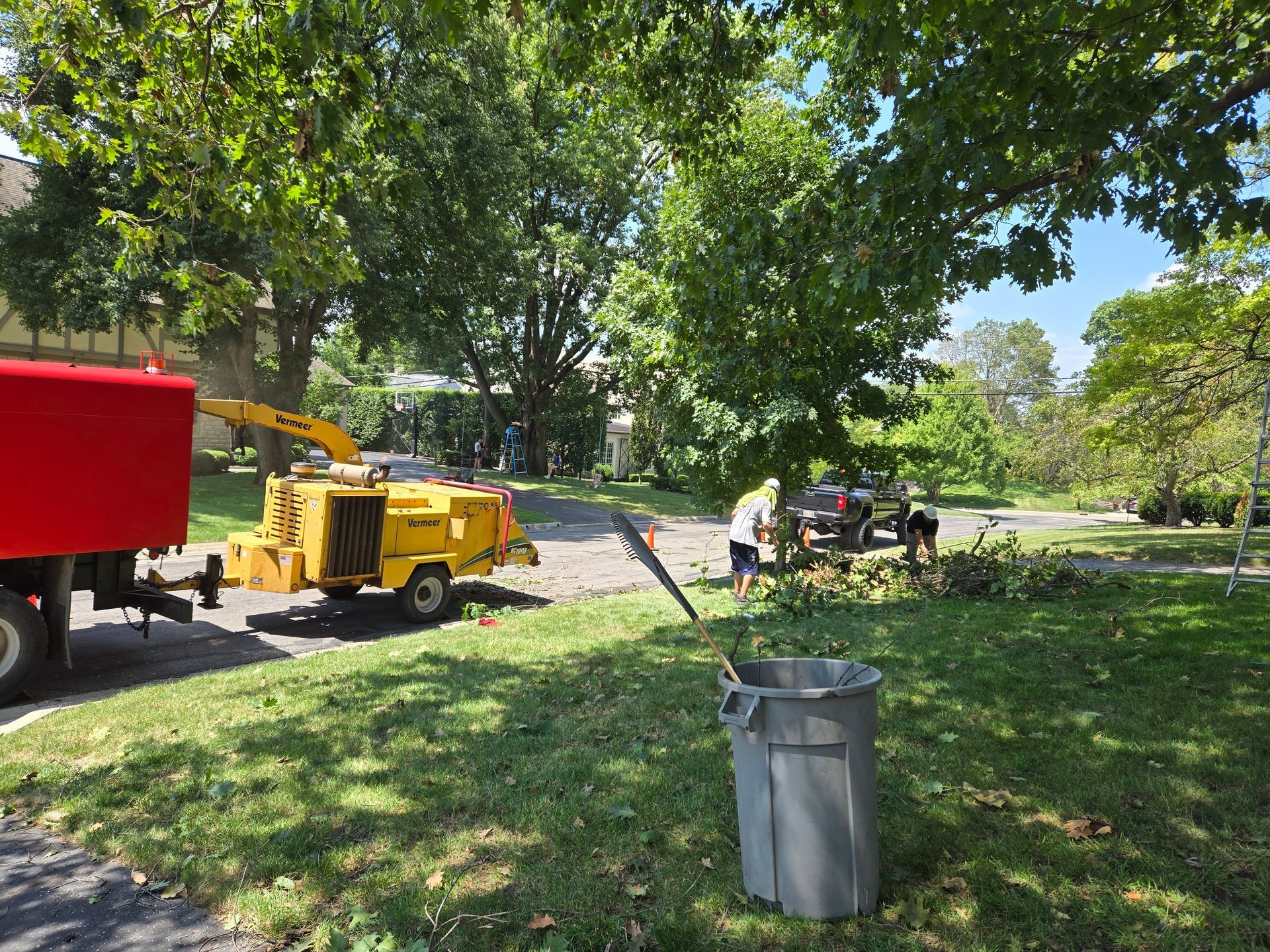 A tree has fallen on the roof of a house.
