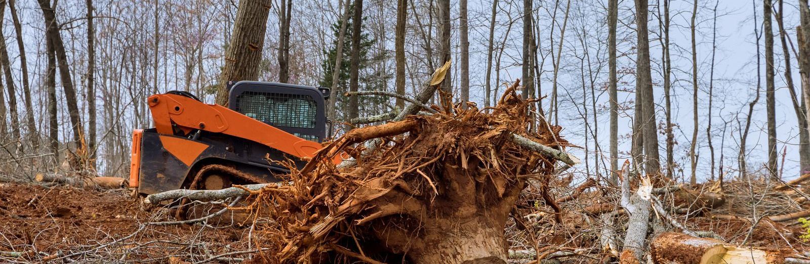 A bulldozer is moving a pile of roots in the woods.