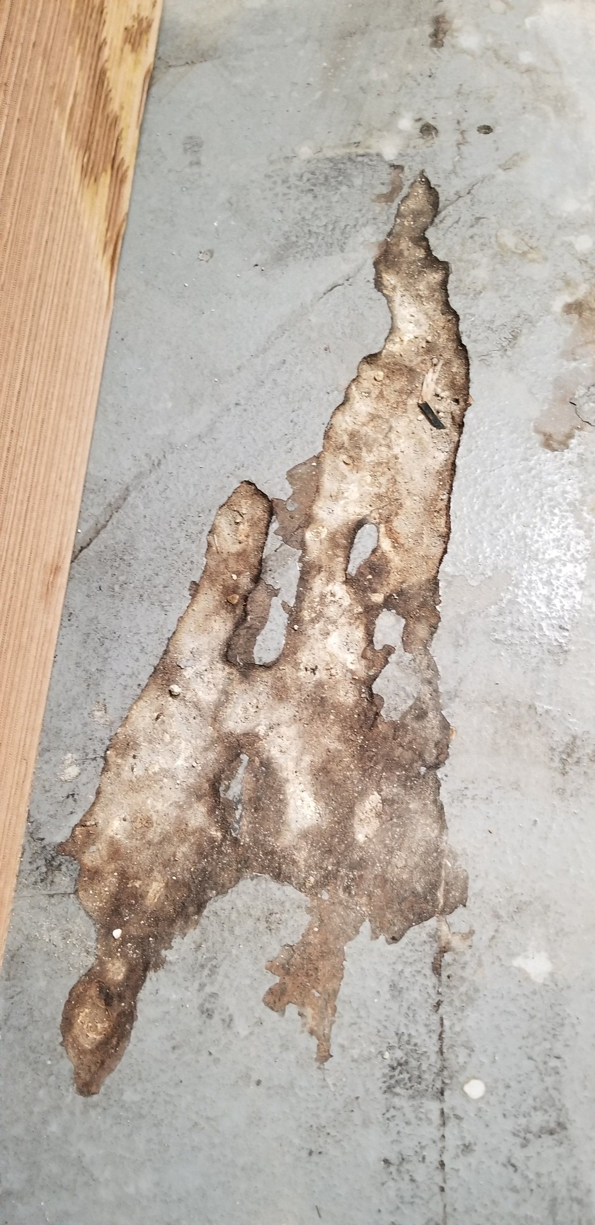 Old Coating — Coating in the Floor in Jacksonville, FL