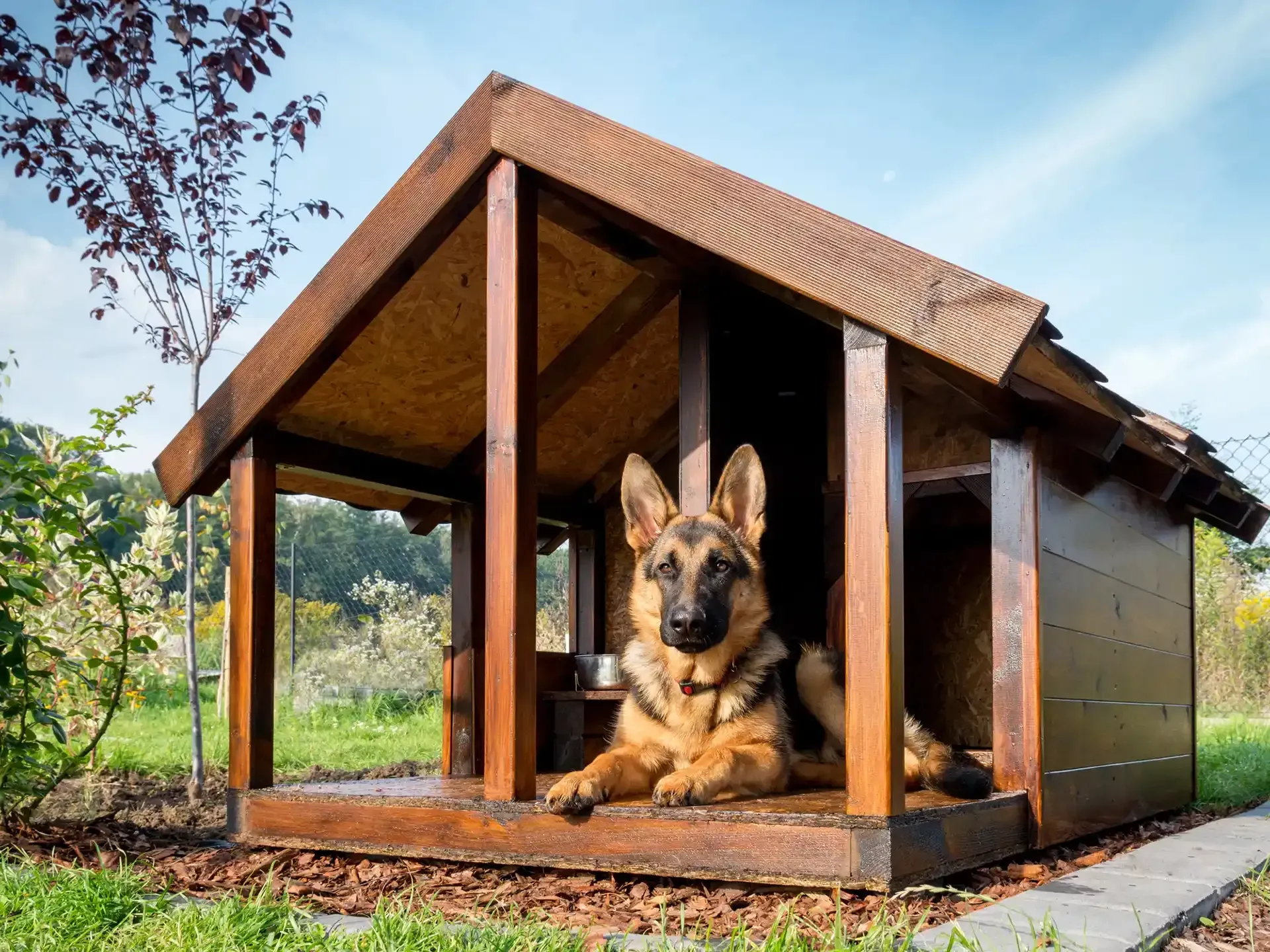 Dog Kennels