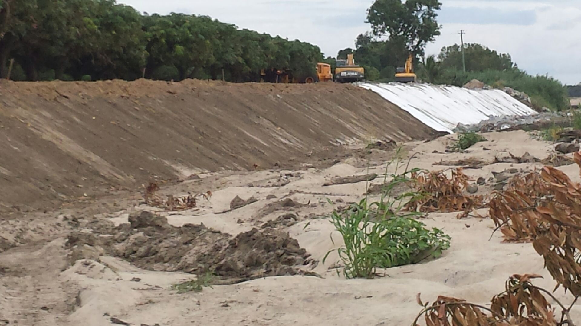 View from the River Mouth