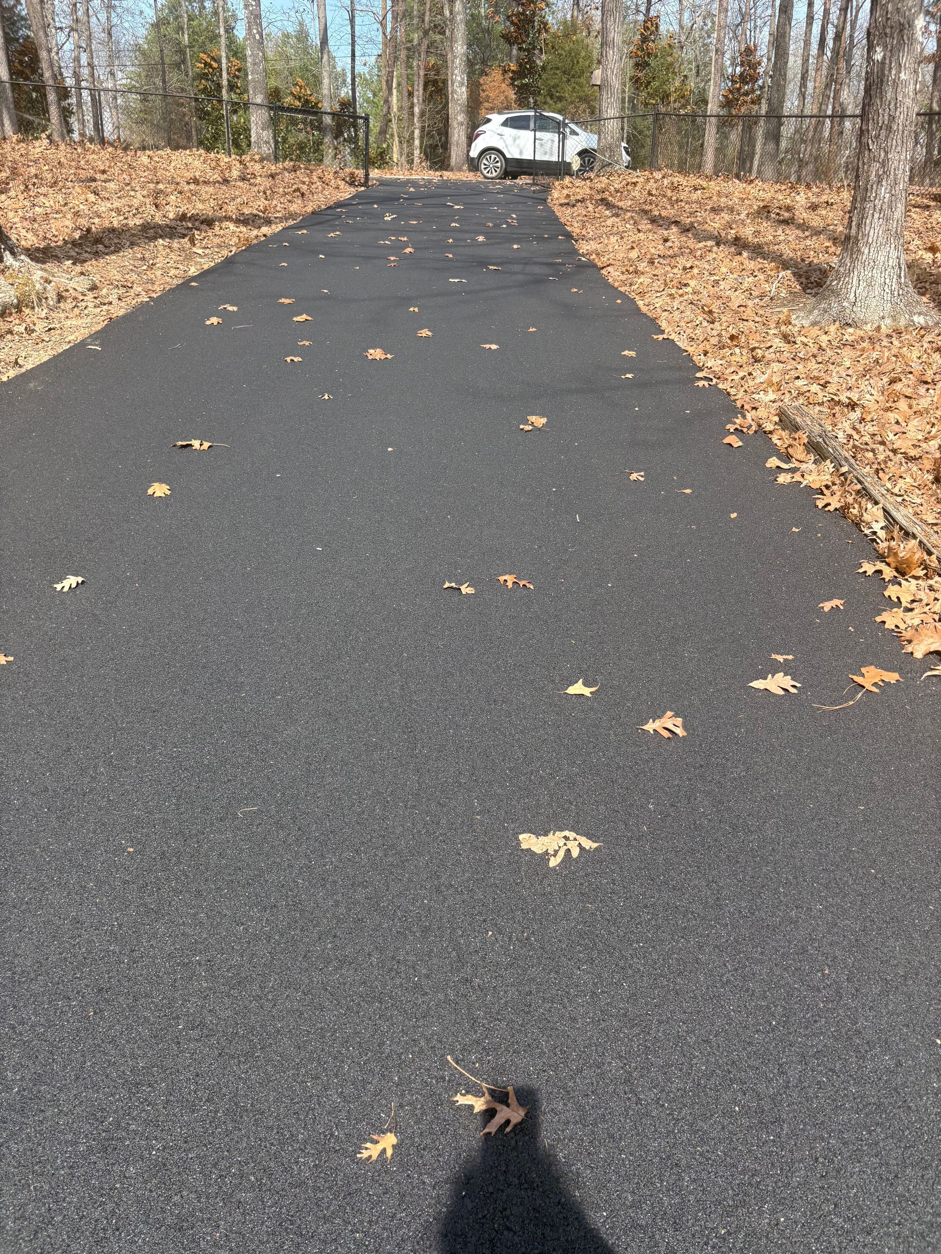 Black asphalt driveway with scattered leaves, leading to a white car parked near trees.
