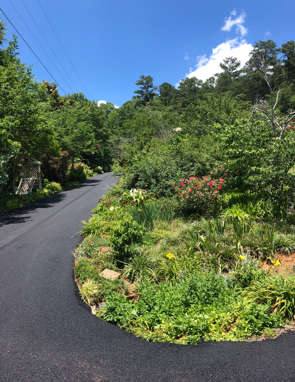 Black asphalt road curves alongside a lush garden on a hillside, sunny day.