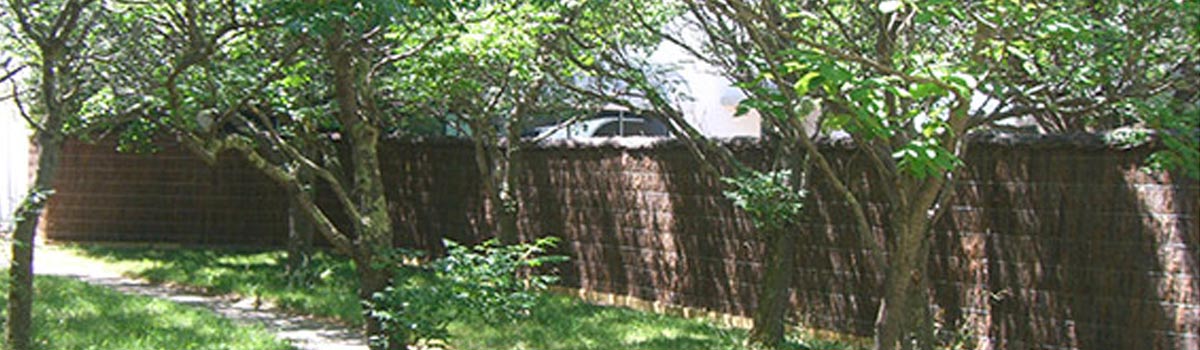 Brush Fencing Chris Griffiths Home