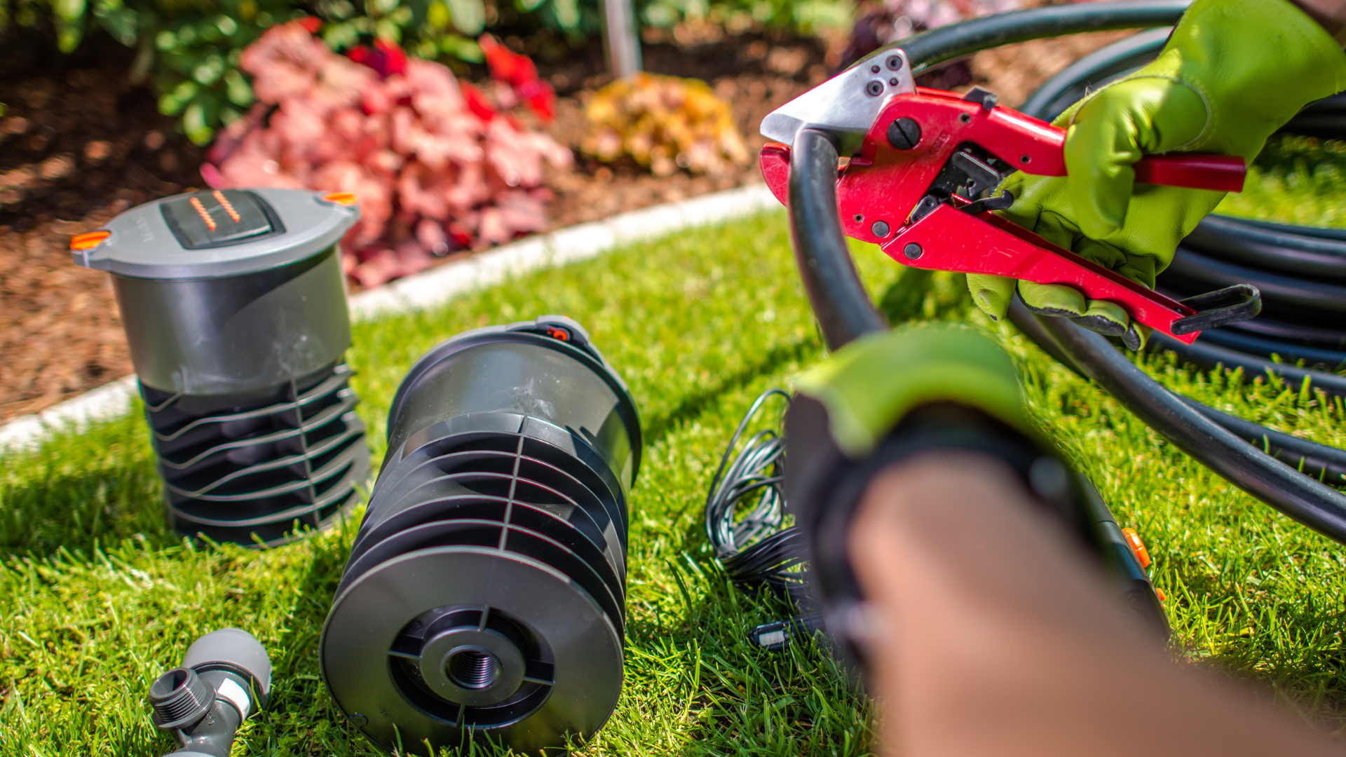 Gardener cutting black irrigation tubing with red cutters; sprinkler heads are on the grass in a garden.