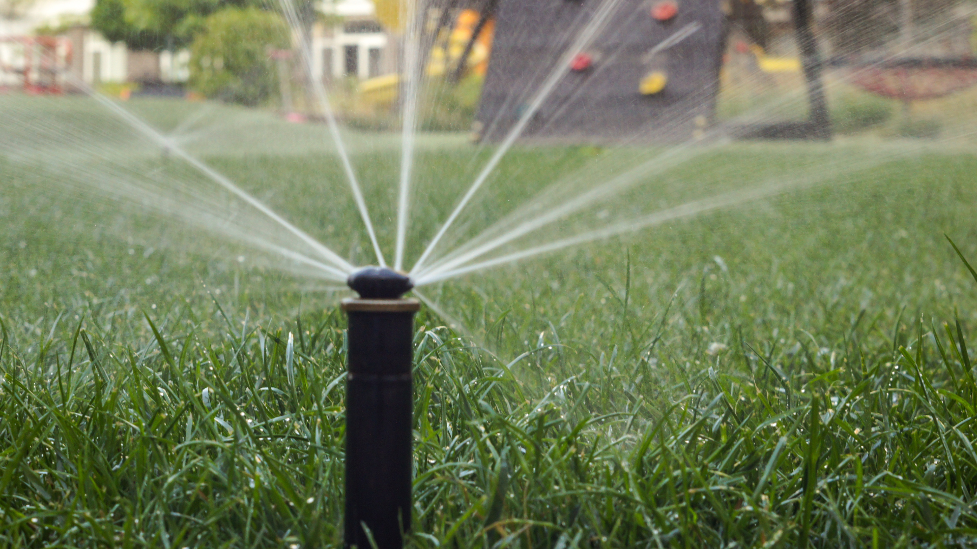 A sprinkler is spraying water on a lush green lawn.