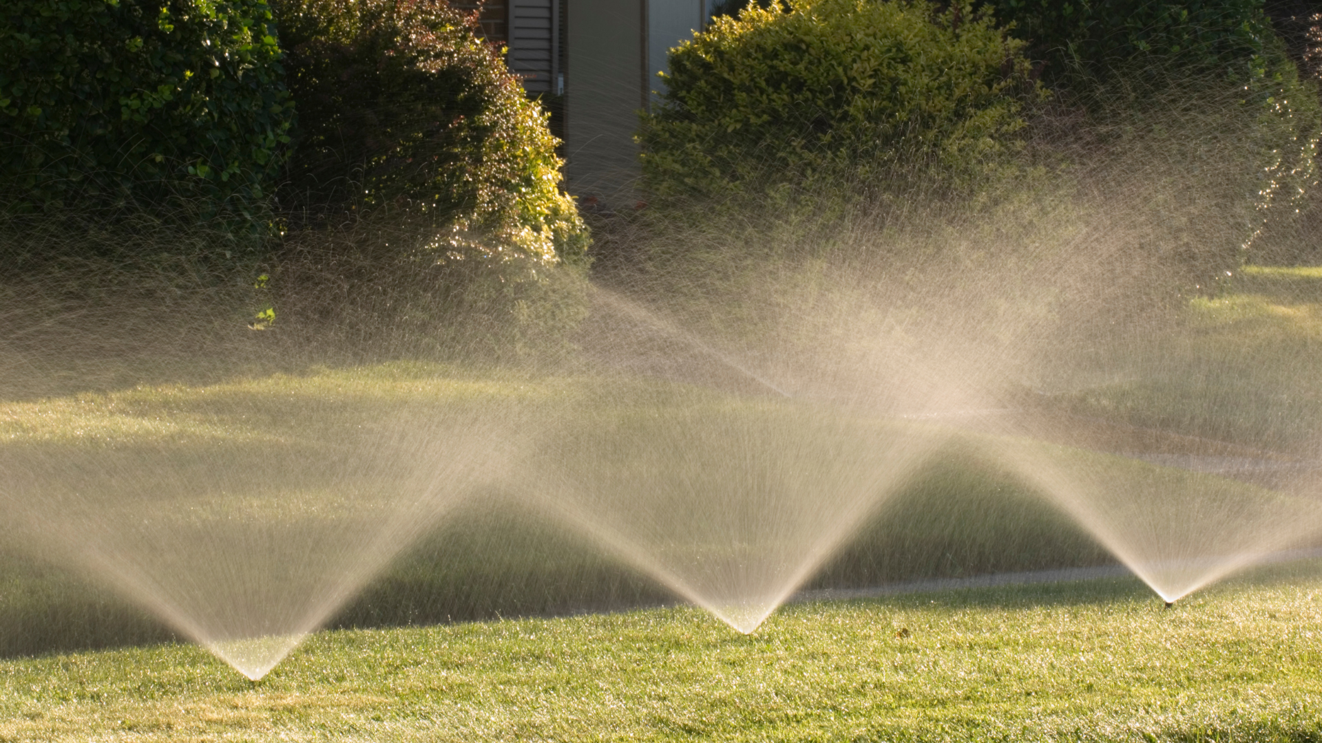 A row of sprinklers spraying water on a lush green lawn.