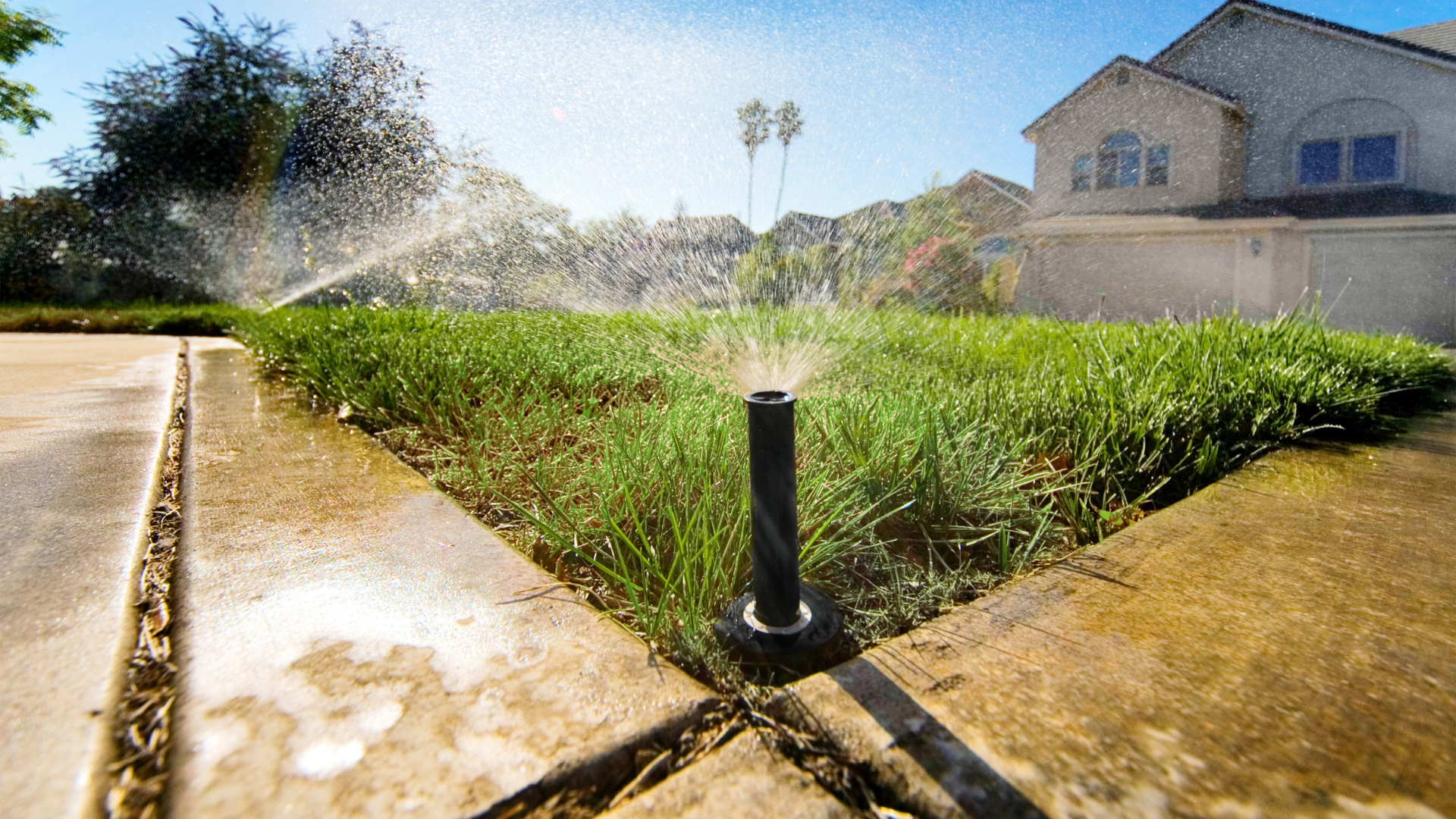 A sprinkler is spraying water on a lawn in front of a house.