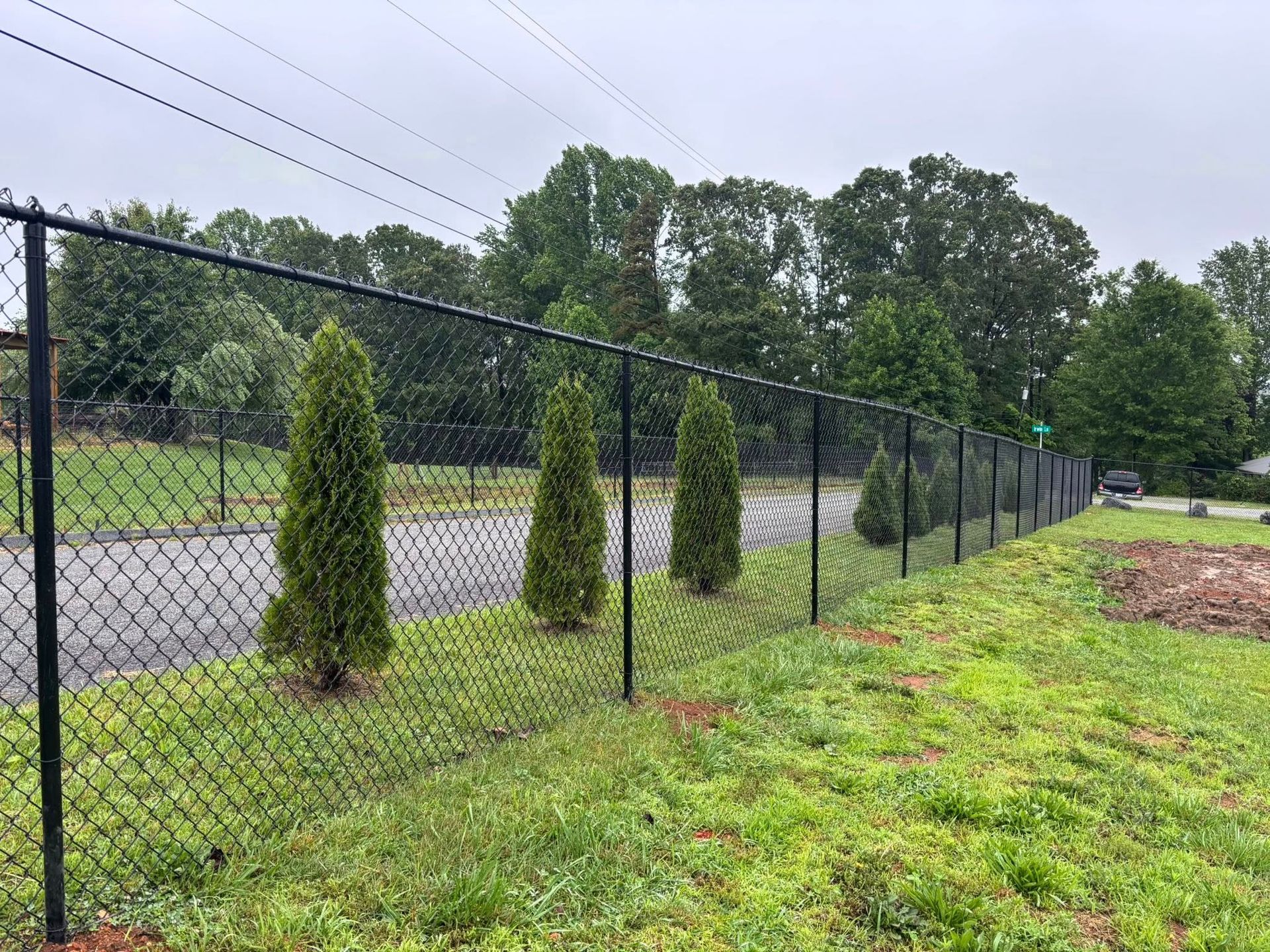 A black chain-link fence runs along a grassy slope, with several small, upright evergreen trees planted beside it.