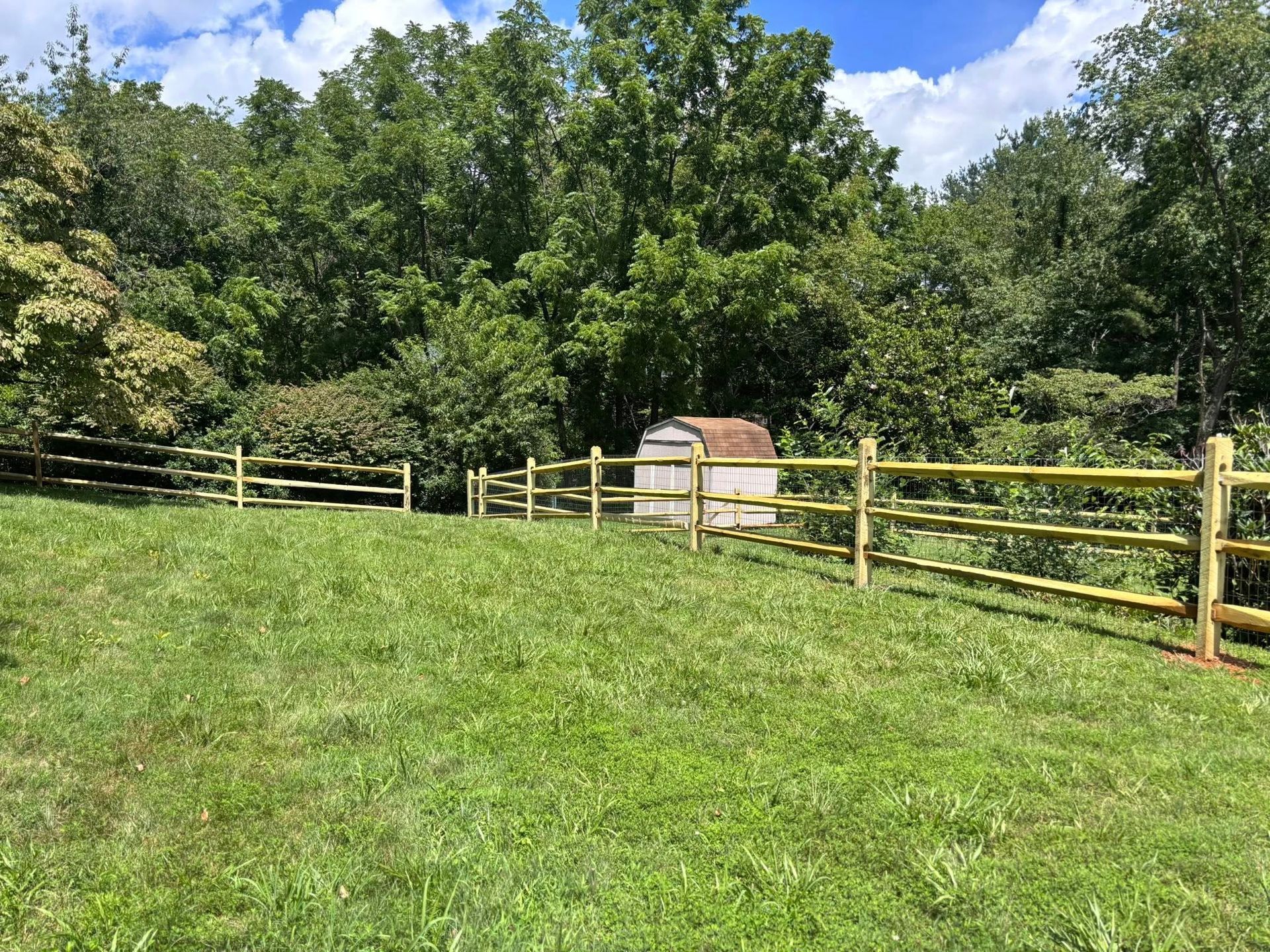 A split-rail wooden fence divides a lush green field from a dense forest with a small storage shed in the background.