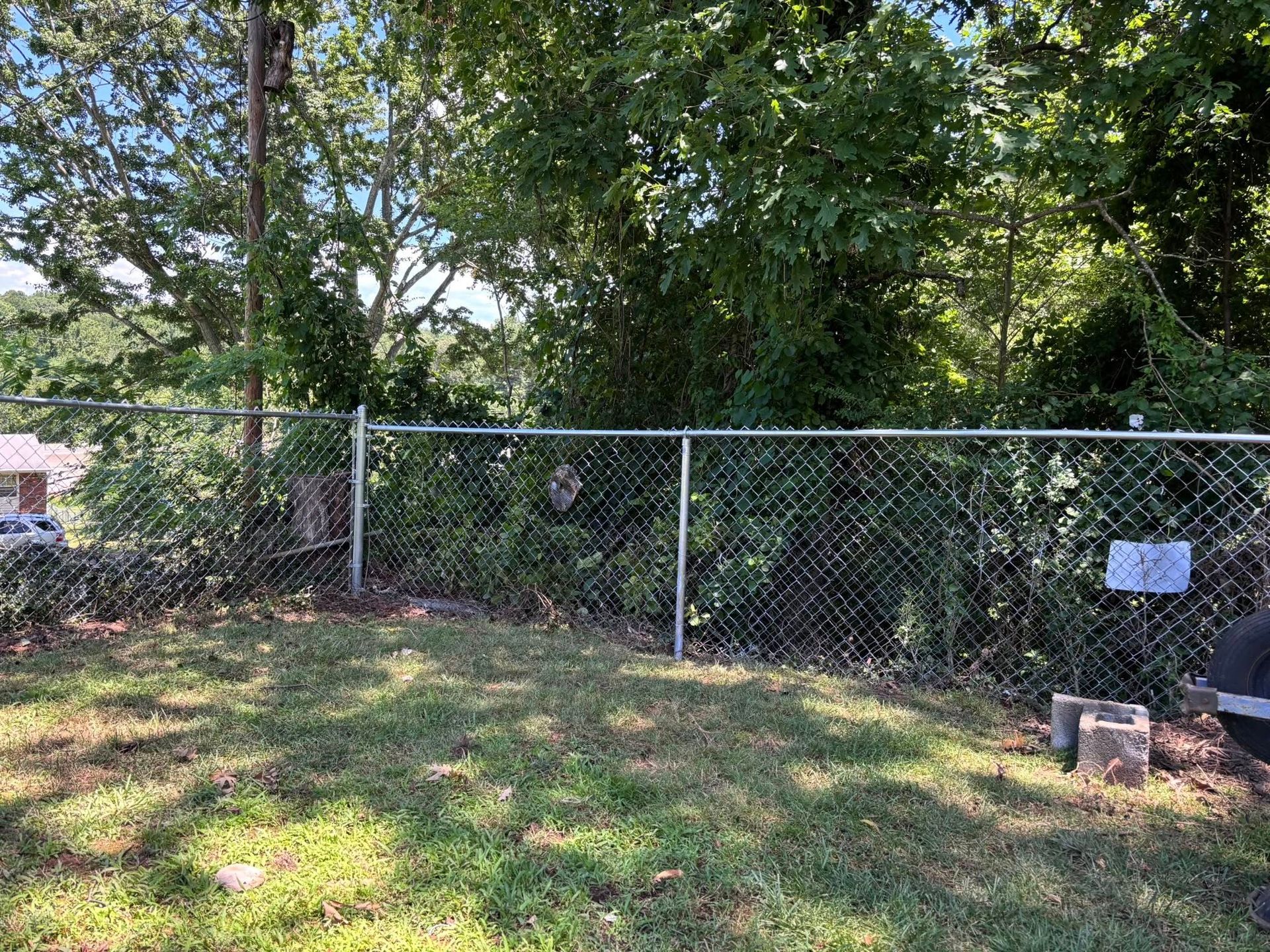 A chain-link fence separates a grassy backyard from a dense, sunlit forest of green trees and overgrown vegetation.