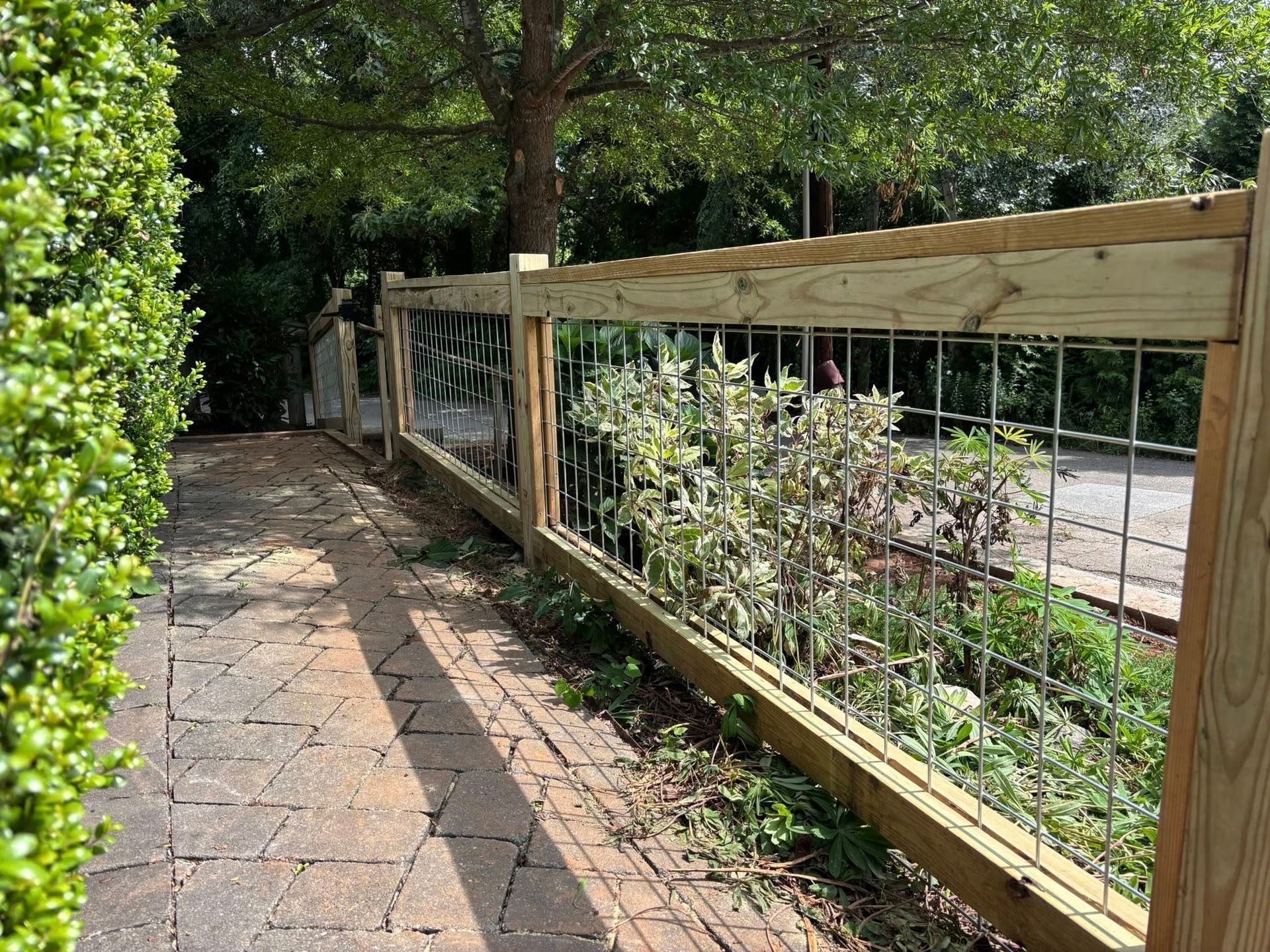 A wooden fence with wire mesh panels lines a brick walkway beside a lush green hedge under a tree.