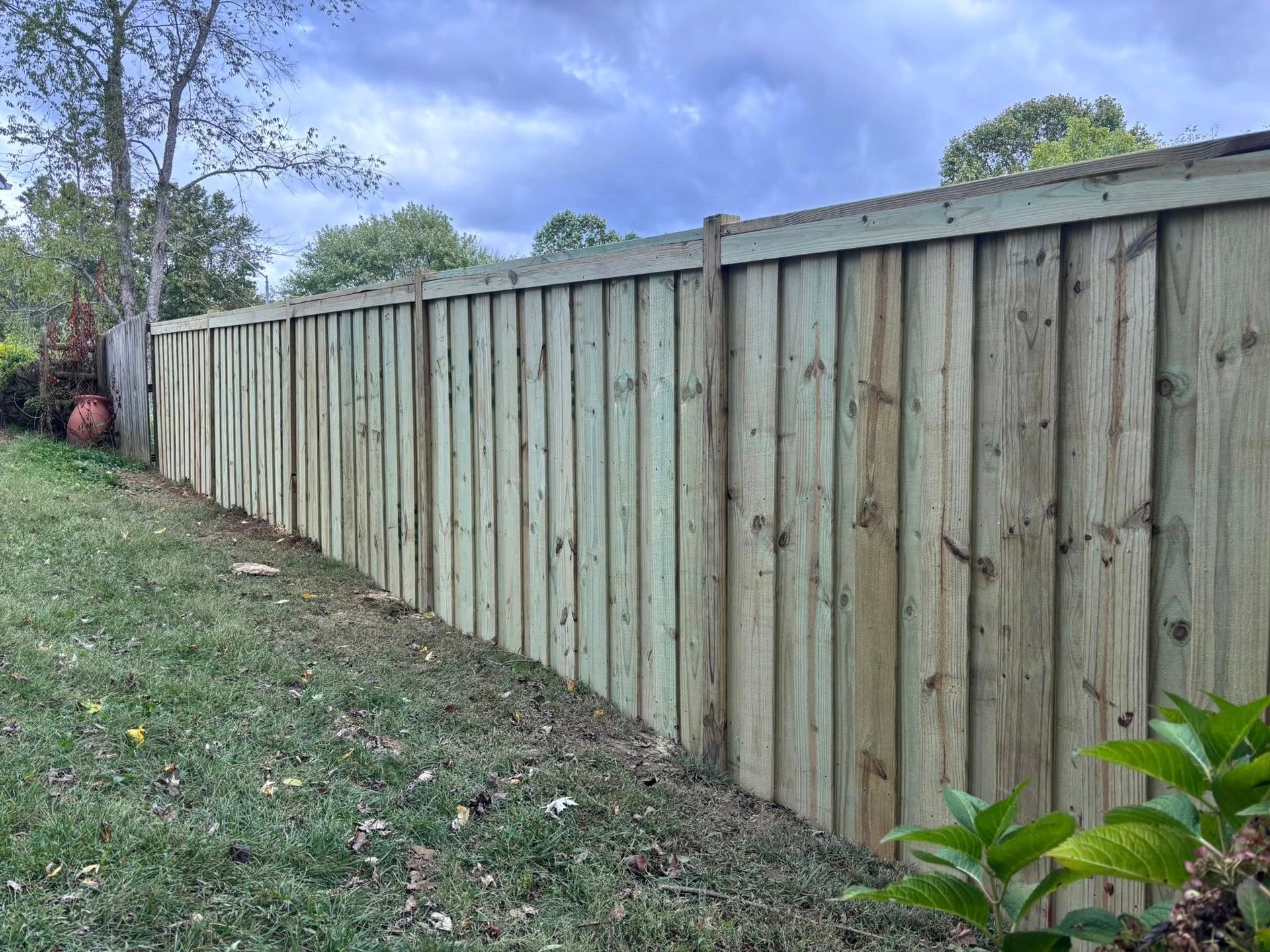 A new, light-colored wooden privacy fence stretches across a grassy yard under a cloudy sky.