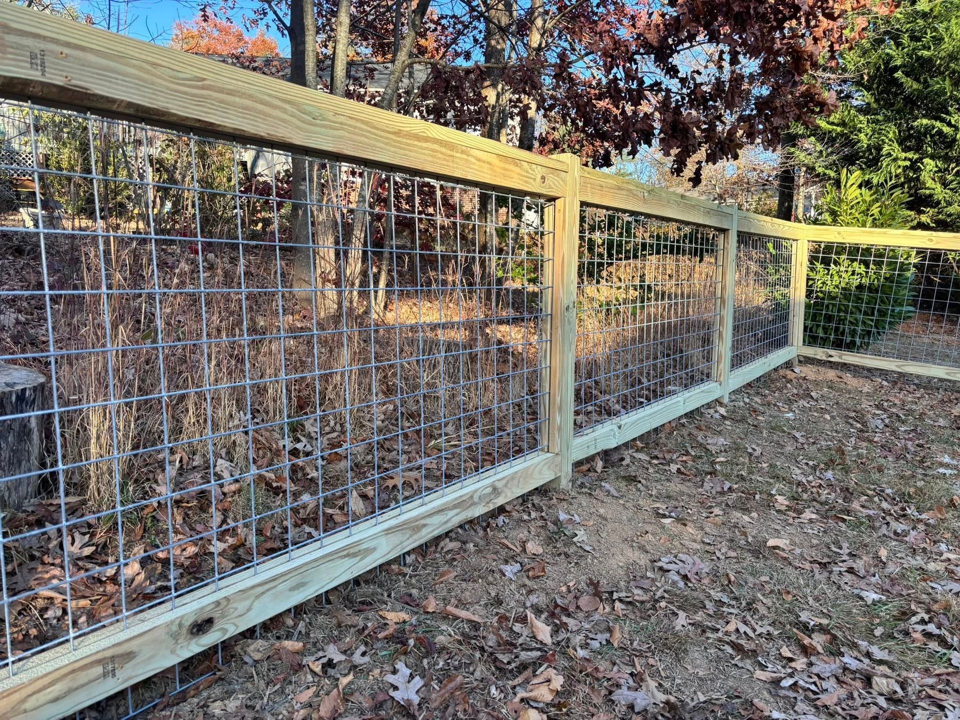 A wooden fence with a wire grid panel, set in a yard covered with fallen leaves during autumn.