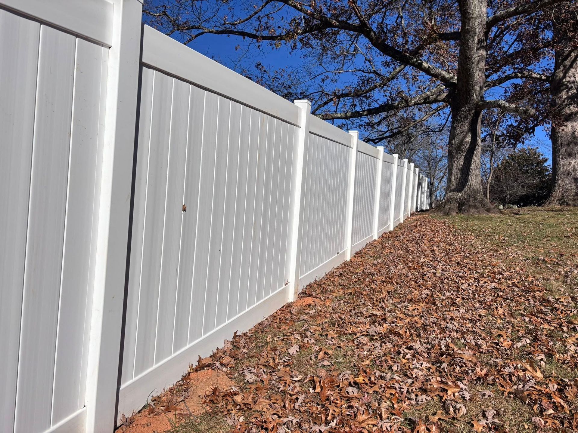A white vinyl privacy fence lines a grassy yard covered in brown autumn leaves under a clear blue sky.