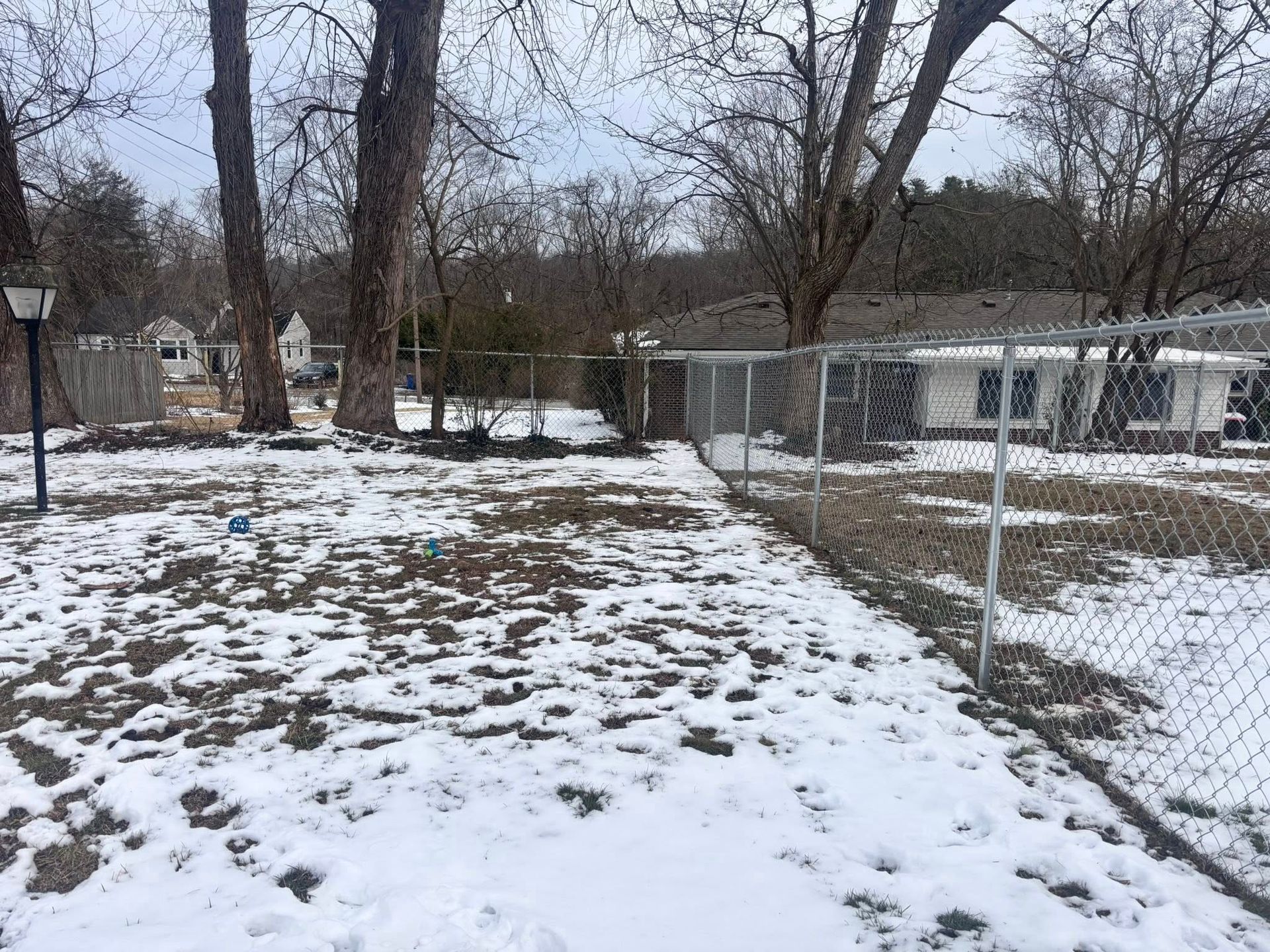 A snowy residential yard with bare trees, a chain-link fence, and a white house in the background under a cloudy sky.