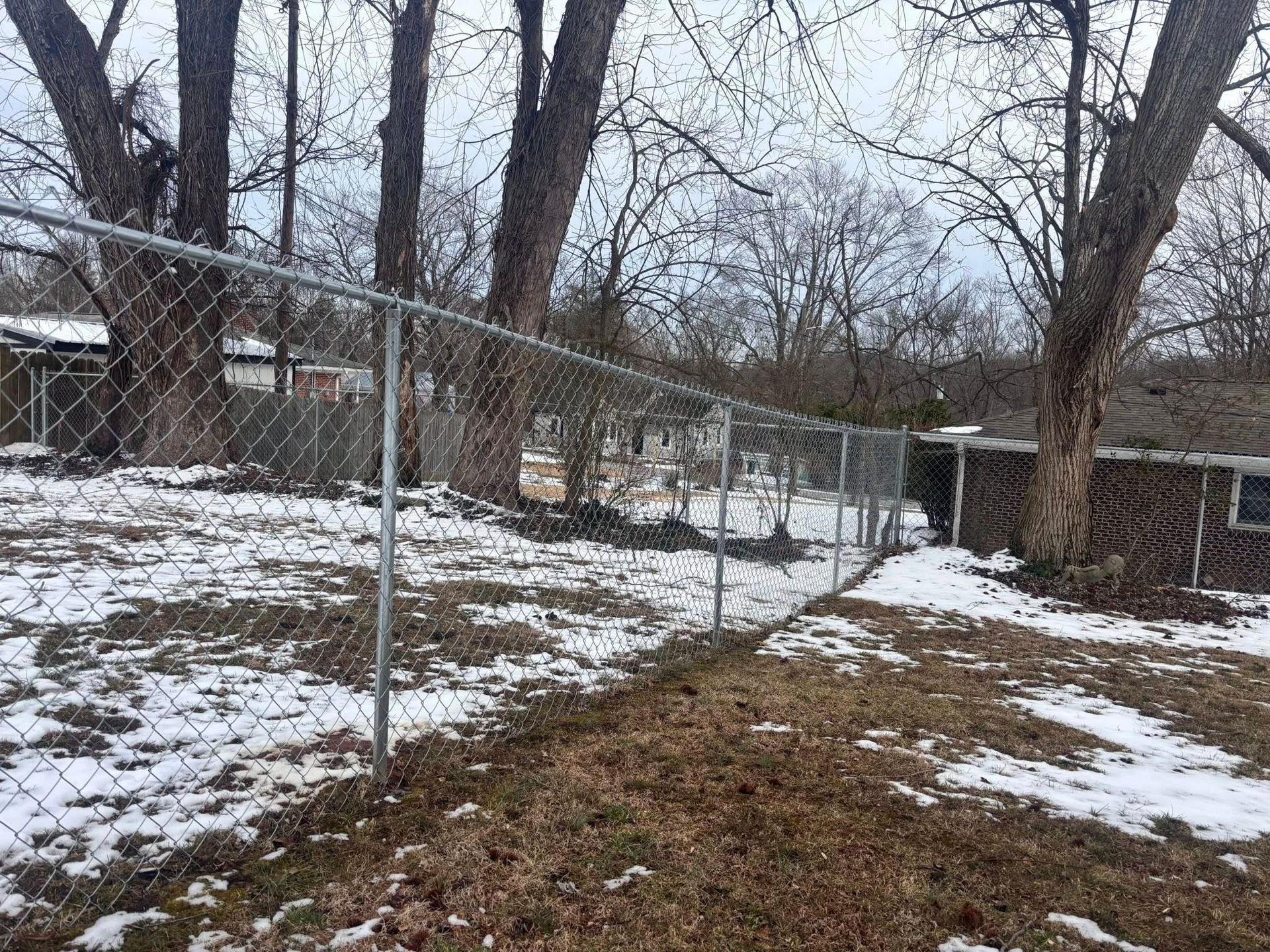 A snow-covered backyard with a chain-link fence, bare trees, and a brick house under an overcast sky.