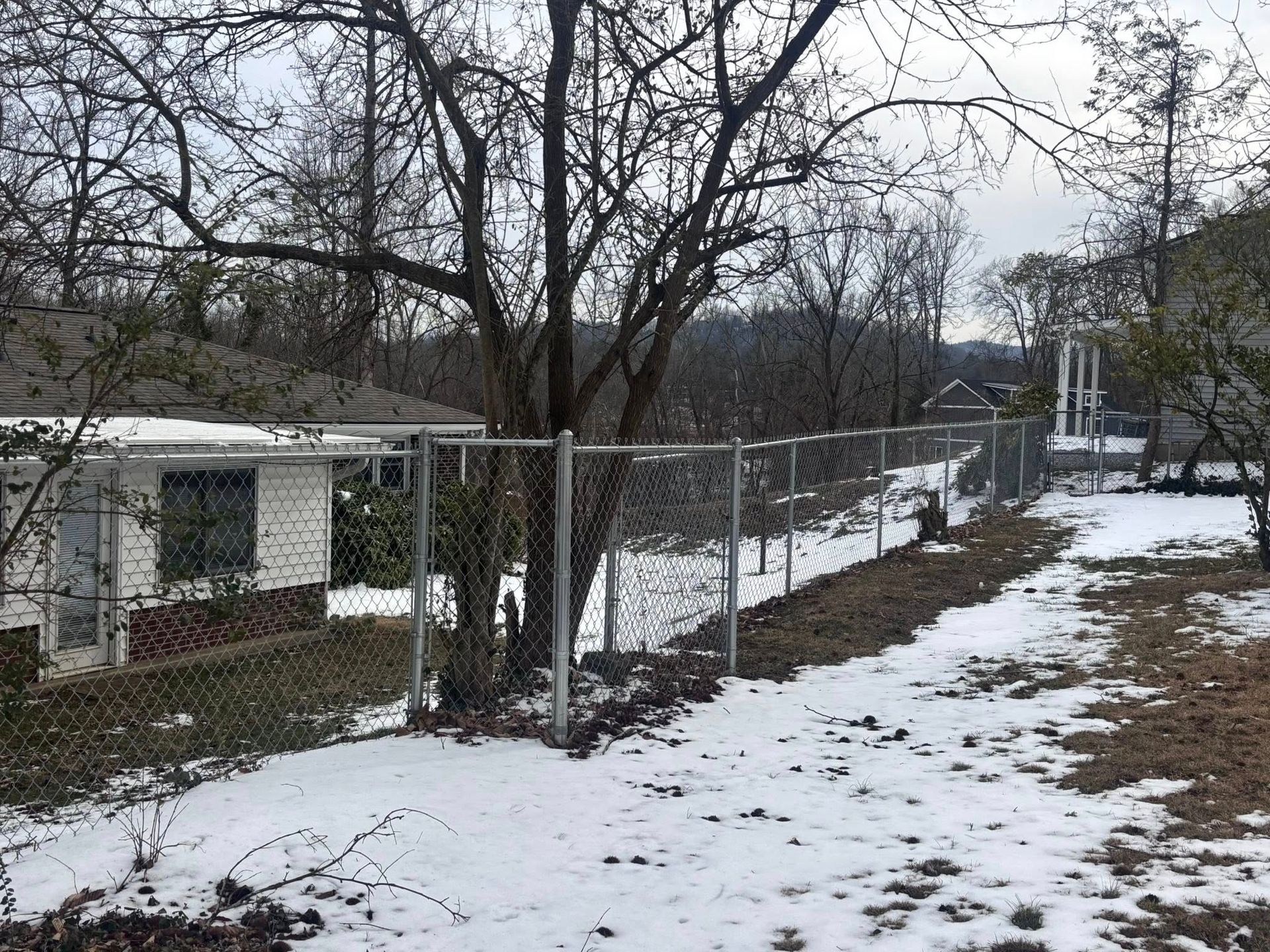 A chain-link fence divides a yard covered in patchy snow, with a white house on the left and bare trees in the background.