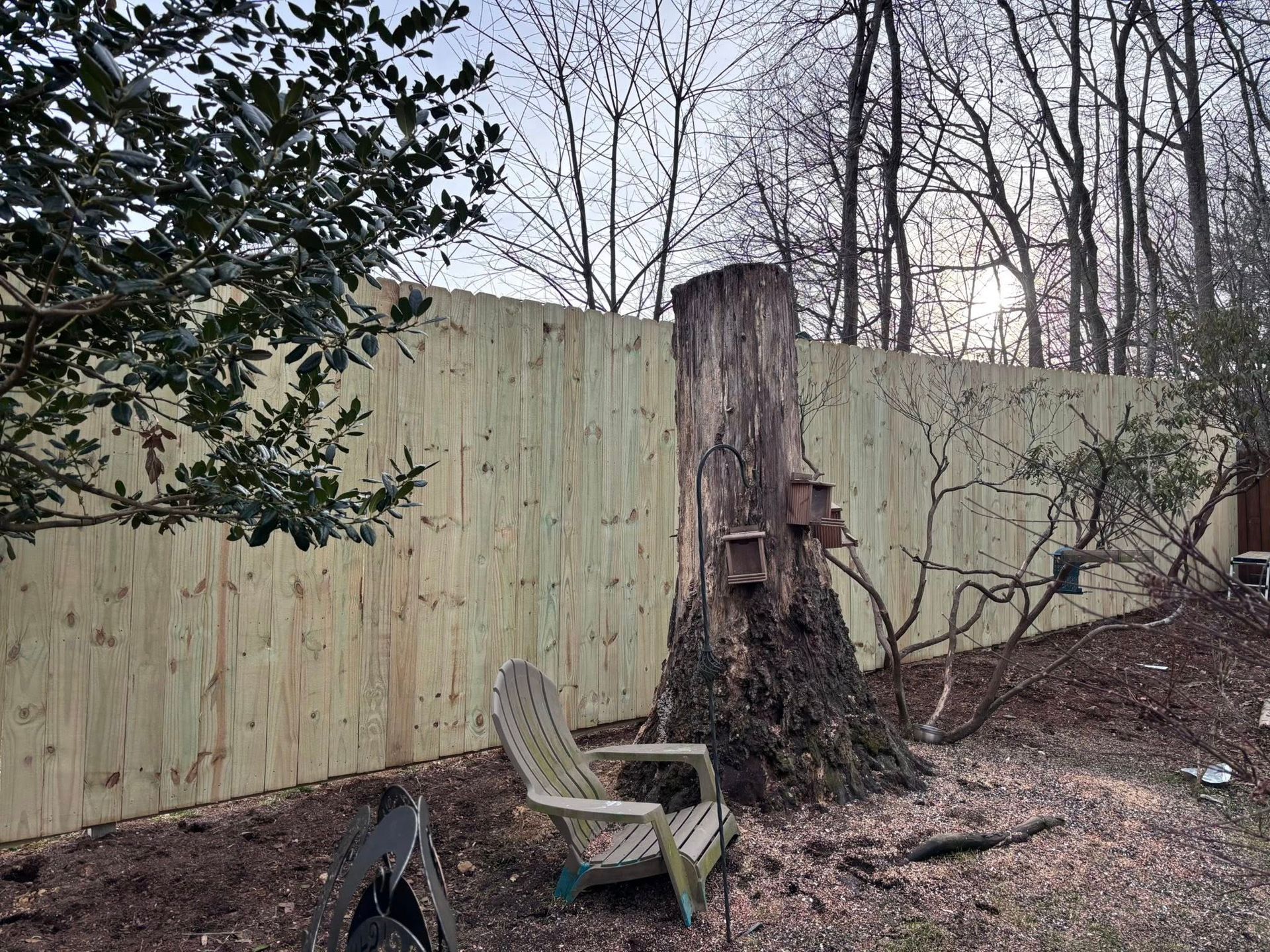 A tall, light-wood fence stands behind a weathered tree stump, an Adirondack chair, and sparse winter trees.