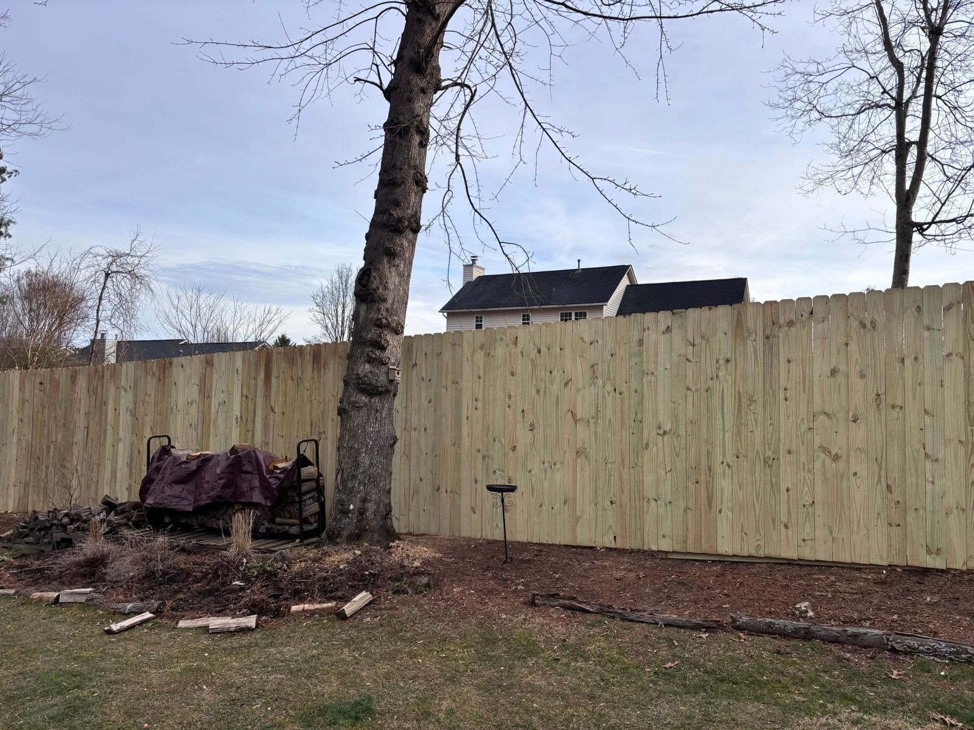 A tall, light-brown wooden fence stands behind a tree and a pile of covered firewood in a residential yard.
