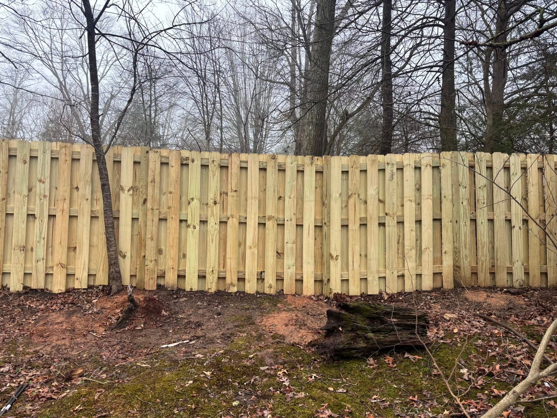 A newly installed light-colored wooden fence standing in front of a line of bare trees on a cloudy day.