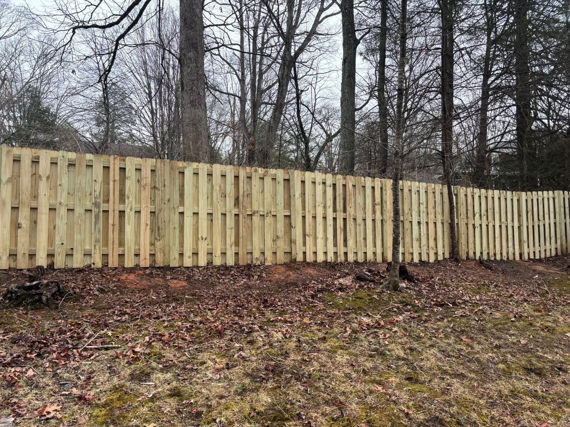 A light-colored wooden picket fence stands in front of a line of bare trees on a cloudy day.