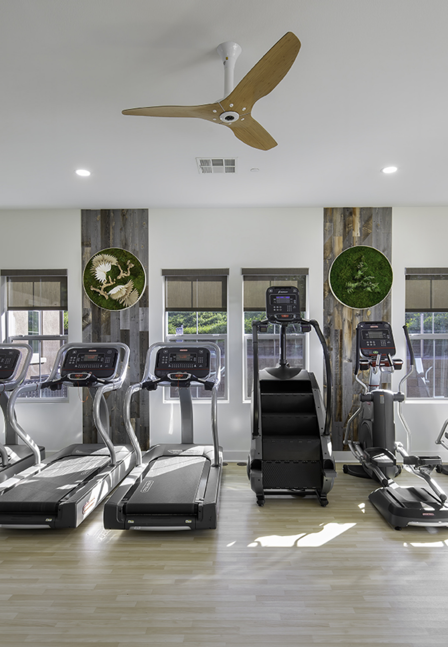 A gym with treadmills , ellipticals , and a ceiling fan.