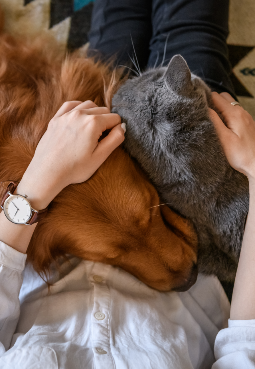 A woman is petting a dog and a cat while wearing a watch.