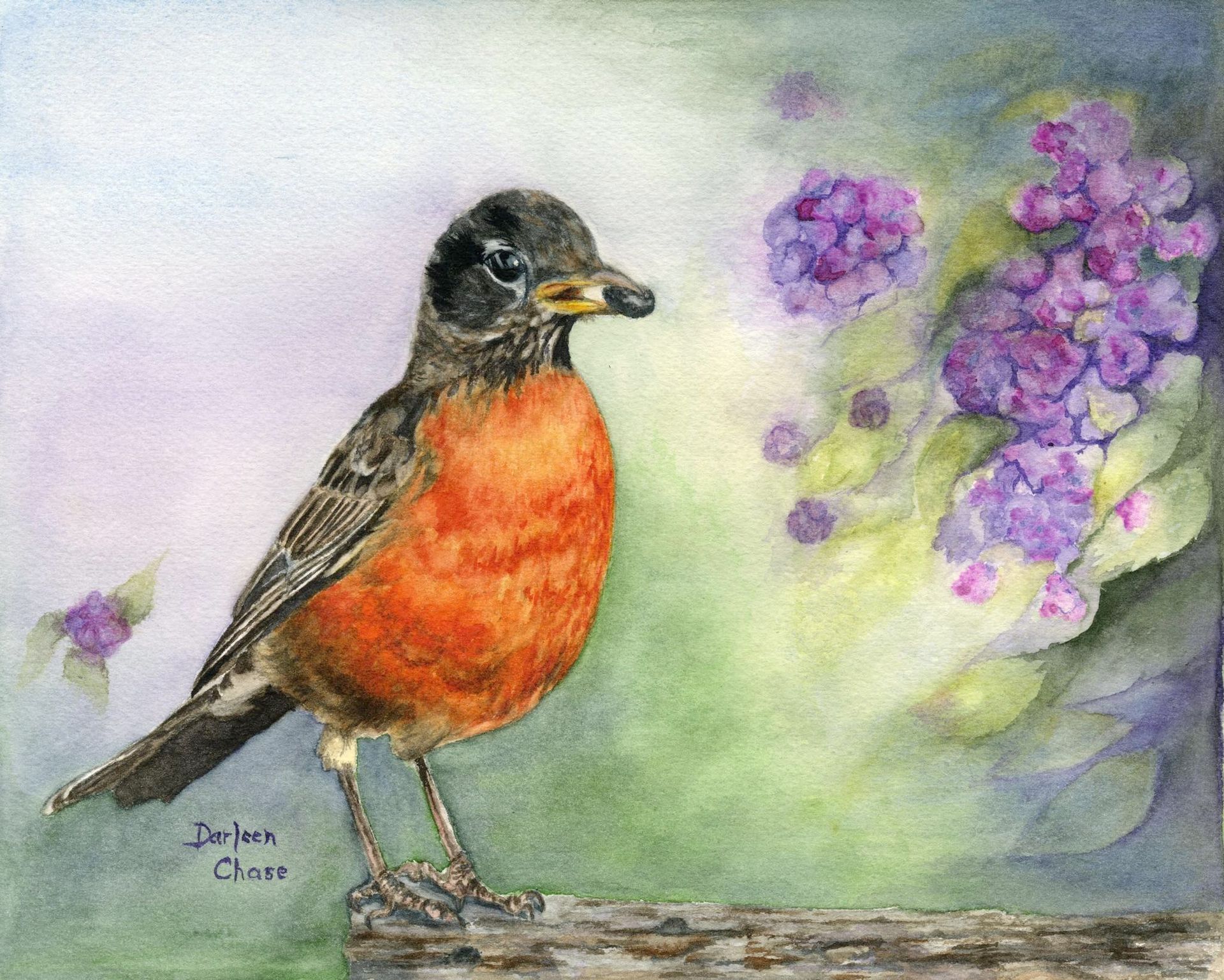 Robin with bright orange breast perched beside purple flowers on a soft watercolor background