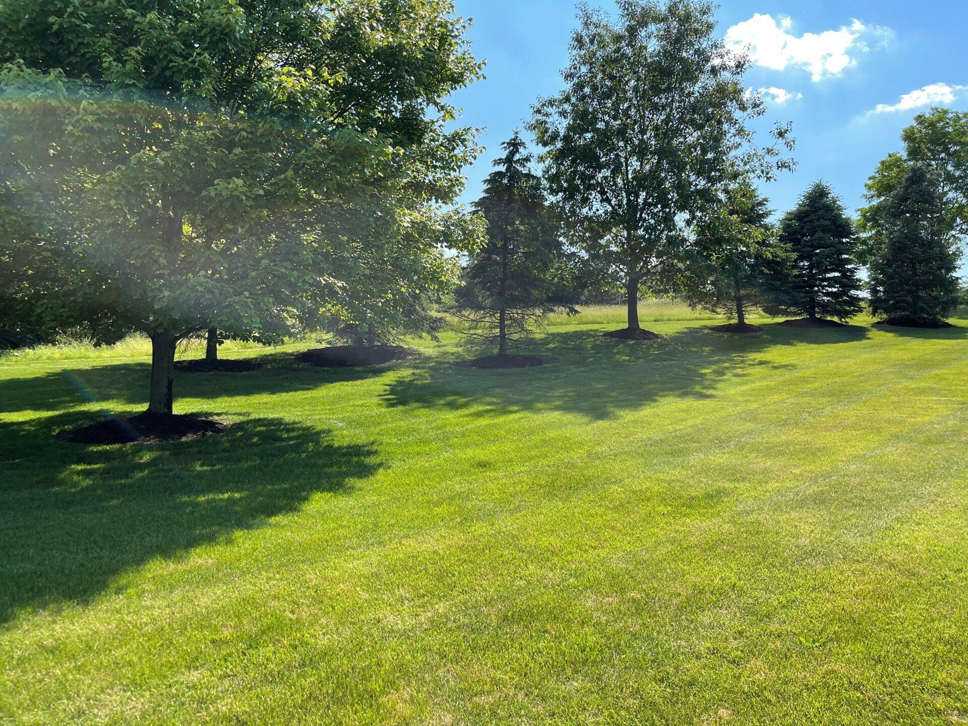 Front Yard — Enola, PA — J & C Landscaping
