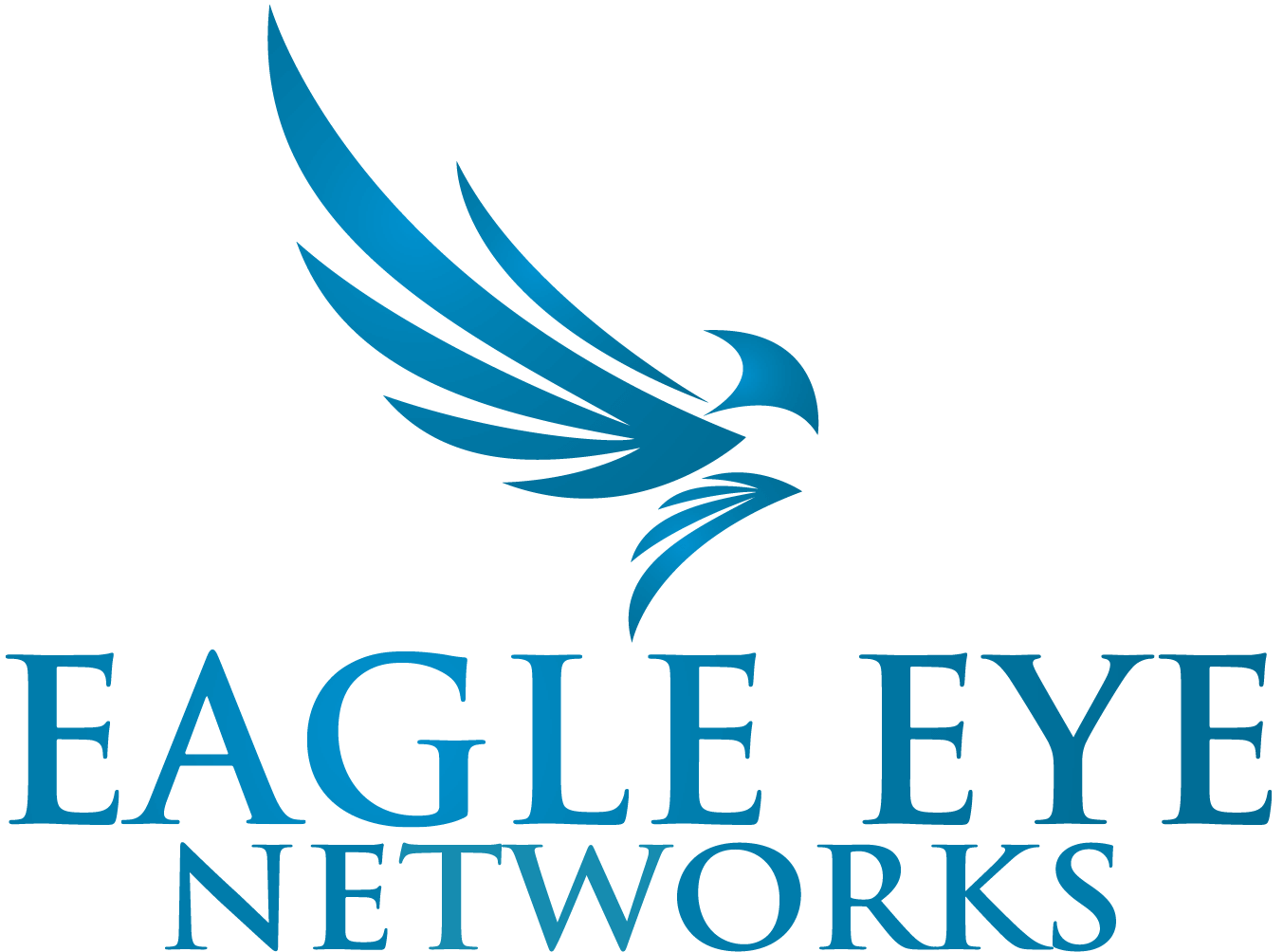 The logo for eagle eye networks has a blue bird on it