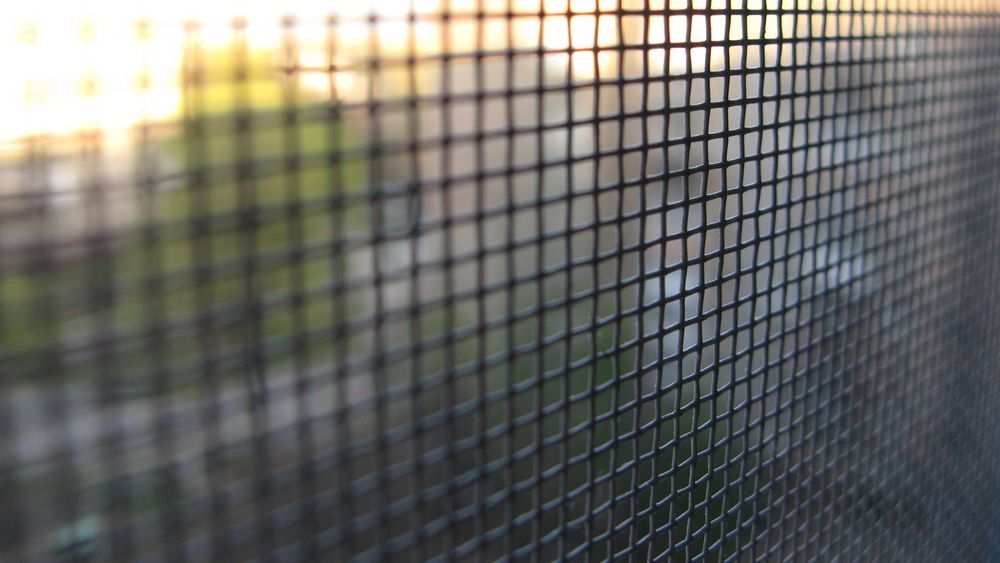 Protective Mesh on The Window — Coastal Screens & Glass in Laurieton, NSW