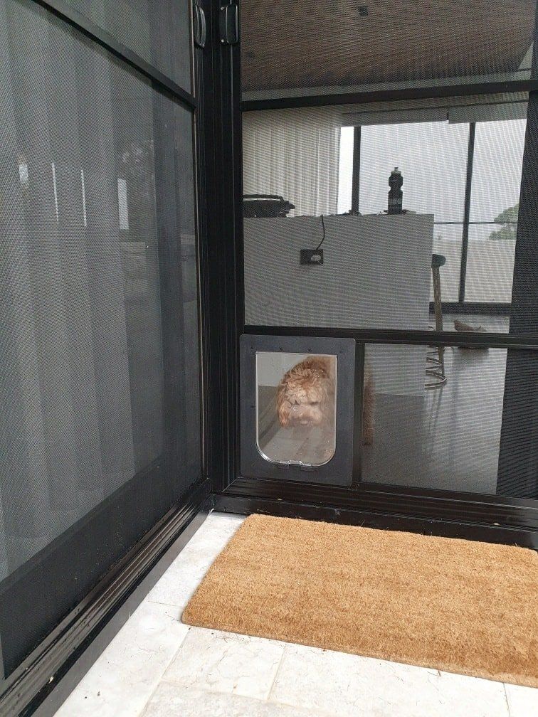 Installed Pet Door — Coastal Screens & Glass in Port Macquarie, NSW
