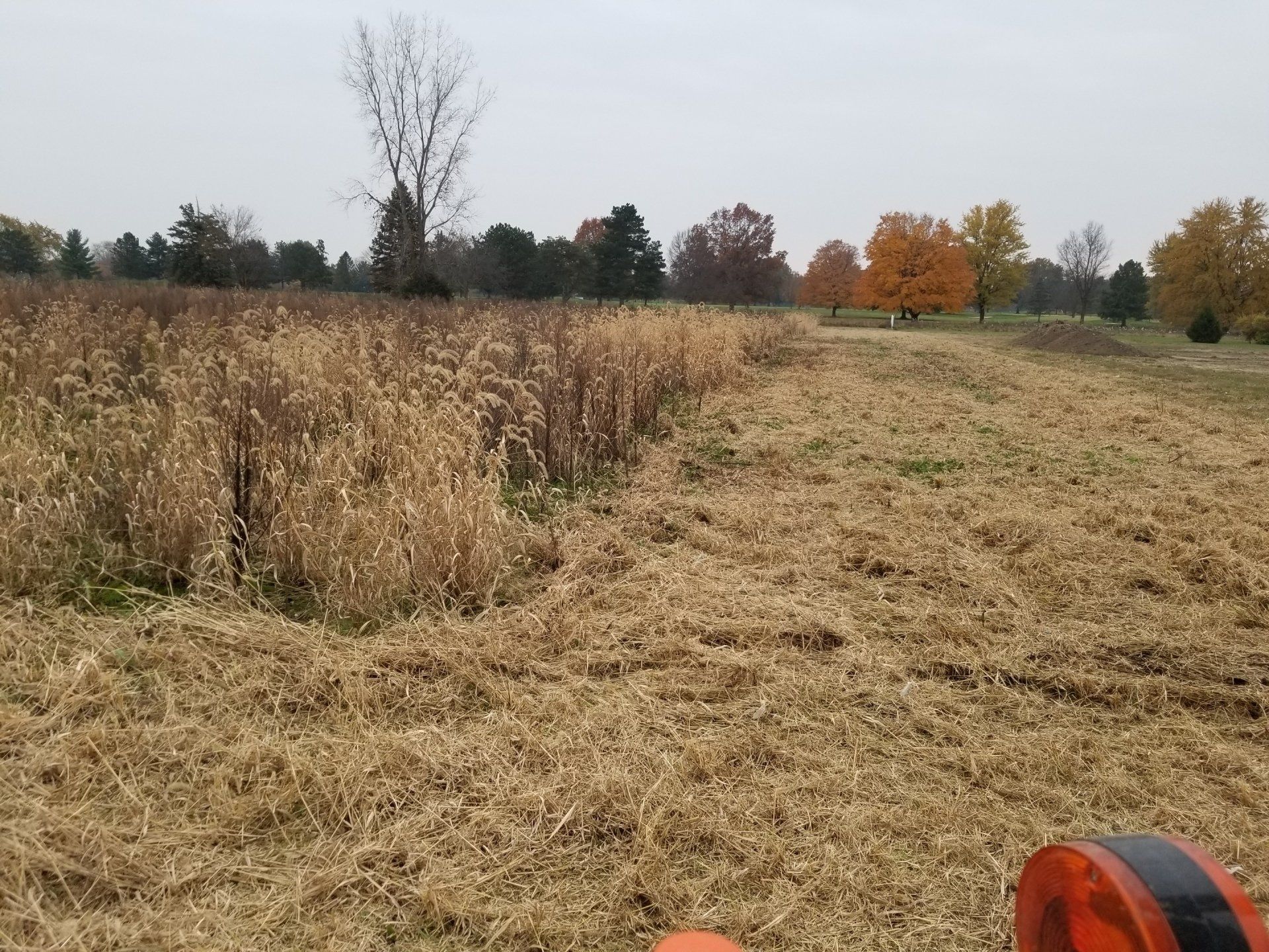Backyard Lawn Ready For Cleaning — New Carlisle, OH — Fincel Lawn Care
