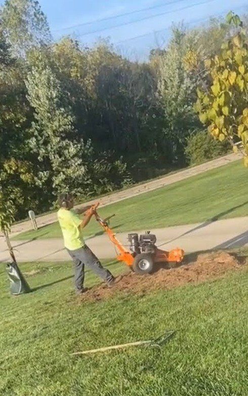 Removing Tree — New Carlisle, OH — Fincel Lawn Care