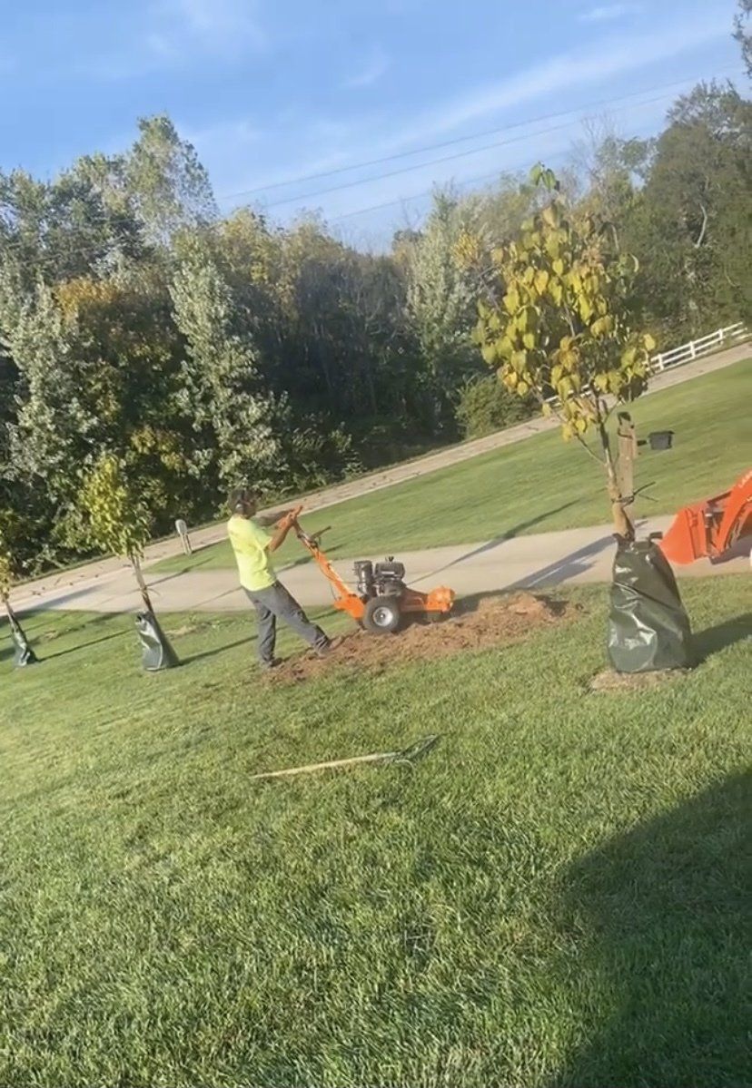 Lawn Mowing — New Carlisle, OH — Fincel Lawn Care