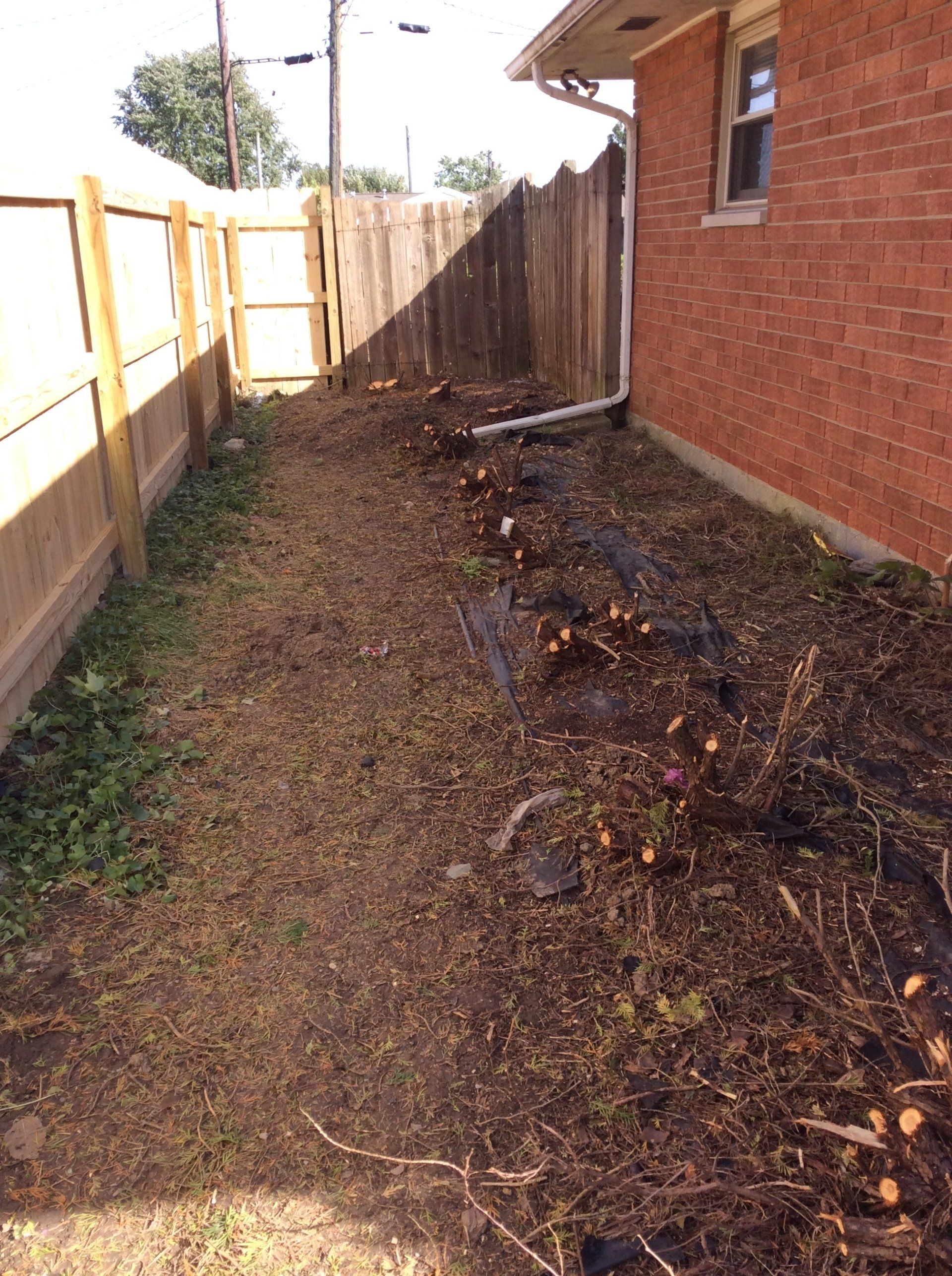 Cleaned Backyard — New Carlisle, OH — Fincel Lawn Care