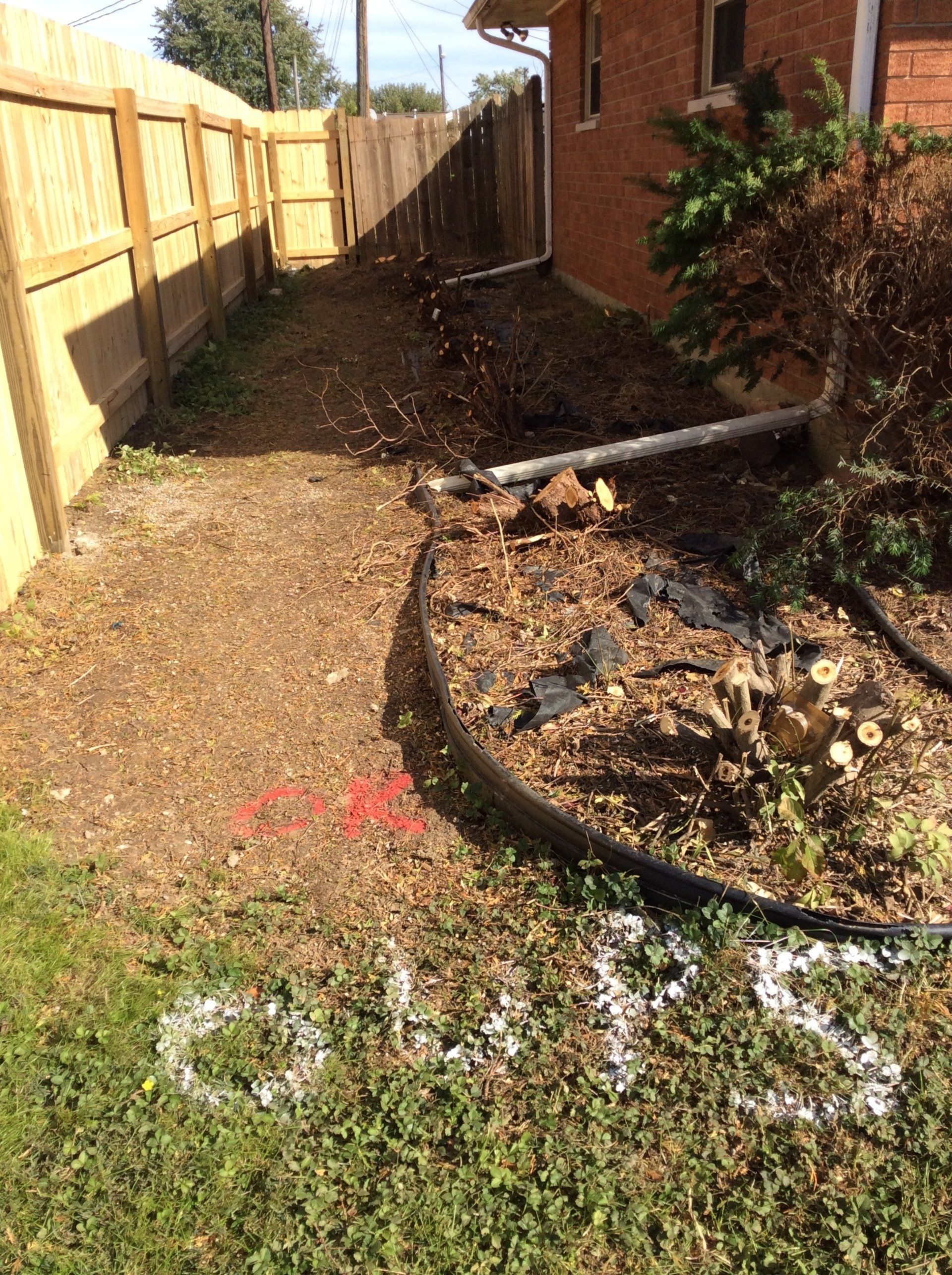 Backyard For Cleaning— New Carlisle, OH — Fincel Lawn Care