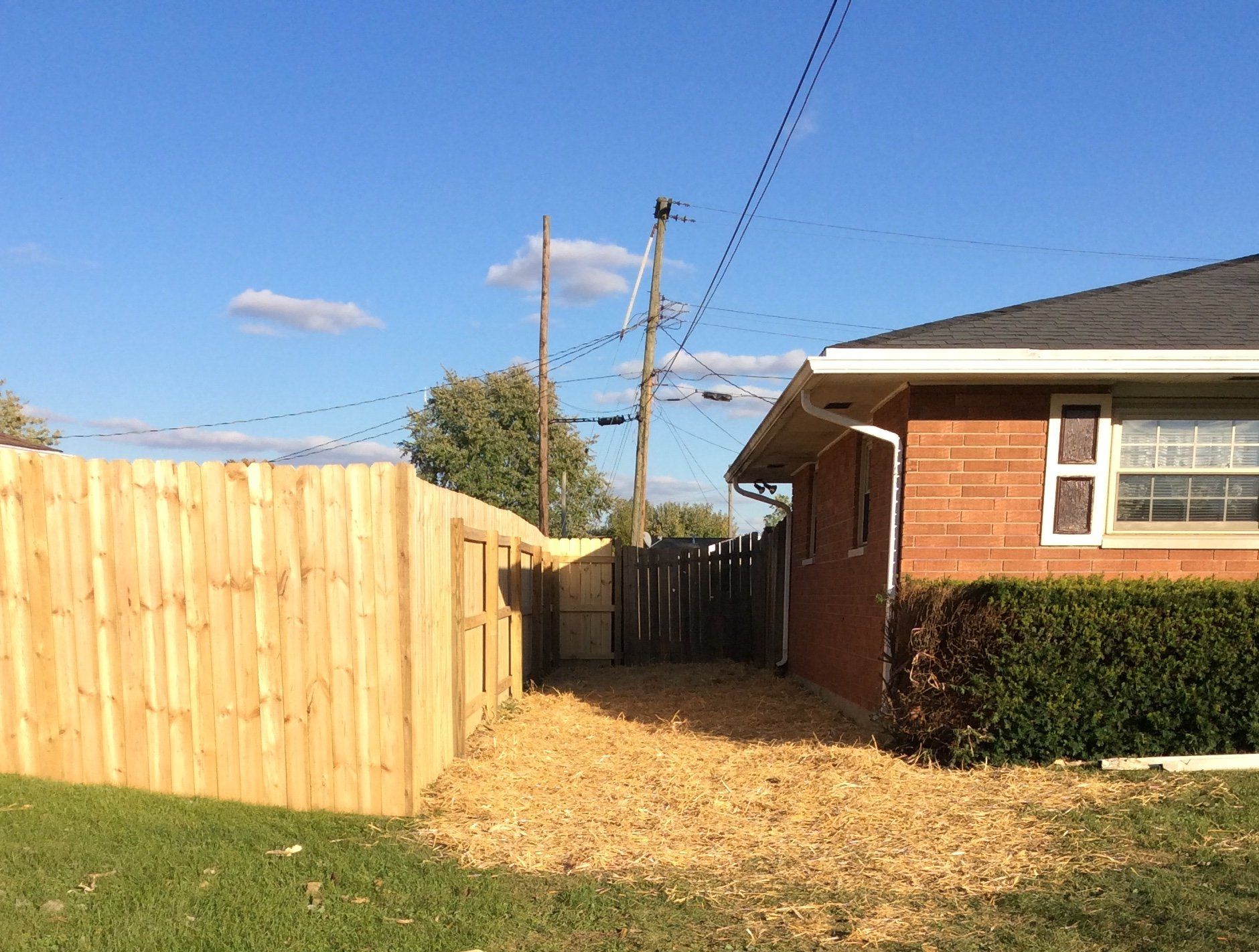 Backyard Lawn — New Carlisle, OH — Fincel Lawn Care