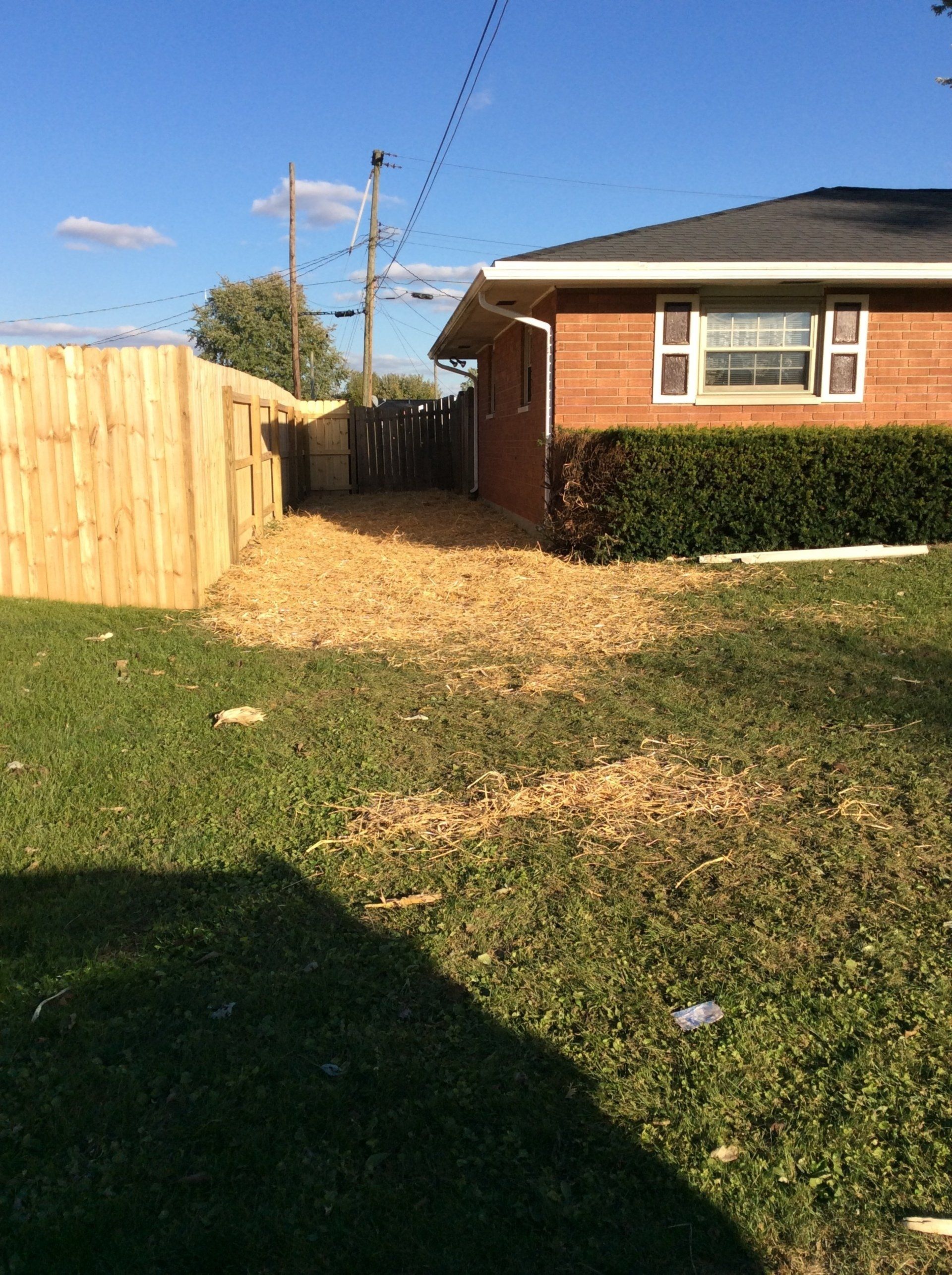 Wide Backyard — New Carlisle, OH — Fincel Lawn Care