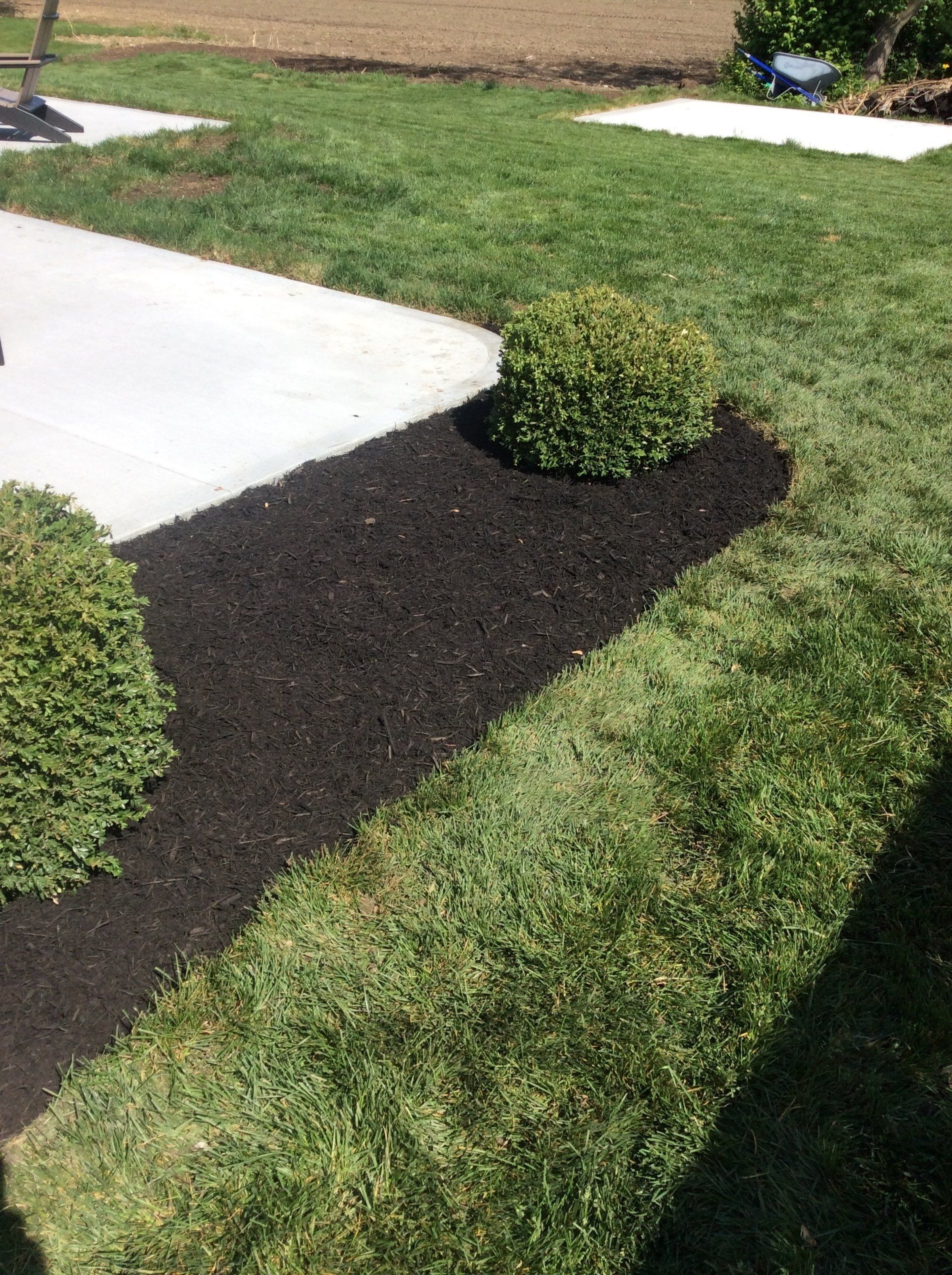 Trimmed Shrubs — New Carlisle, OH — Fincel Lawn Care