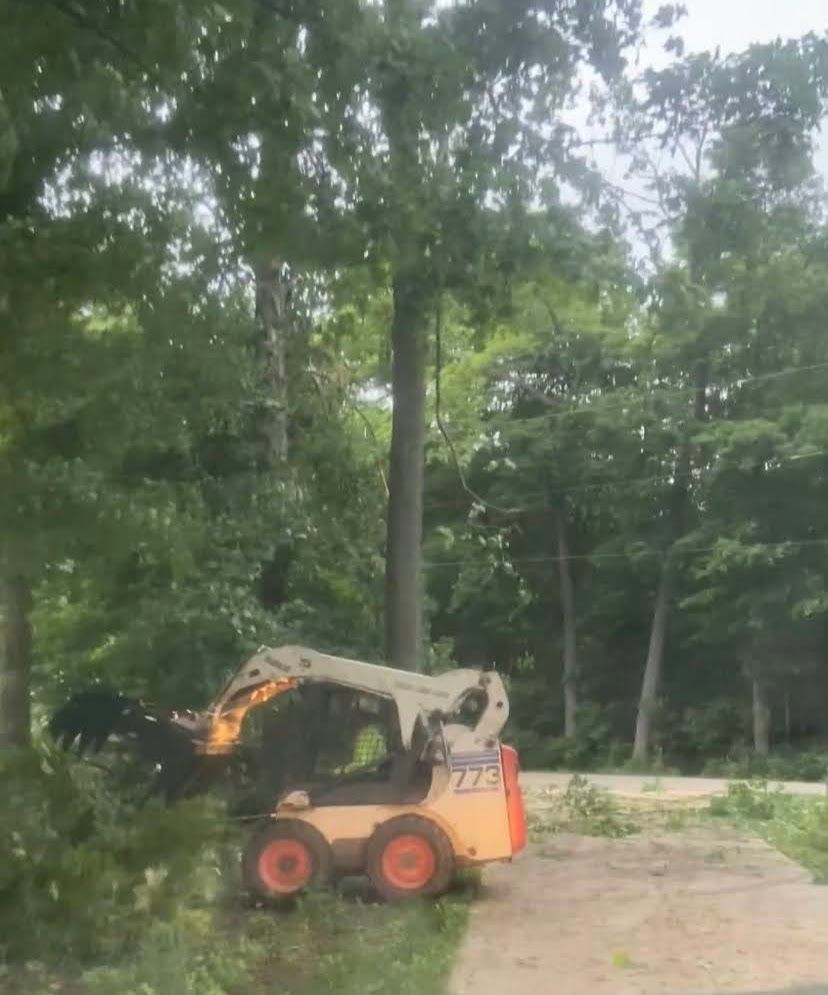 Removing Tree — New Carlisle, OH — Fincel Lawn Care