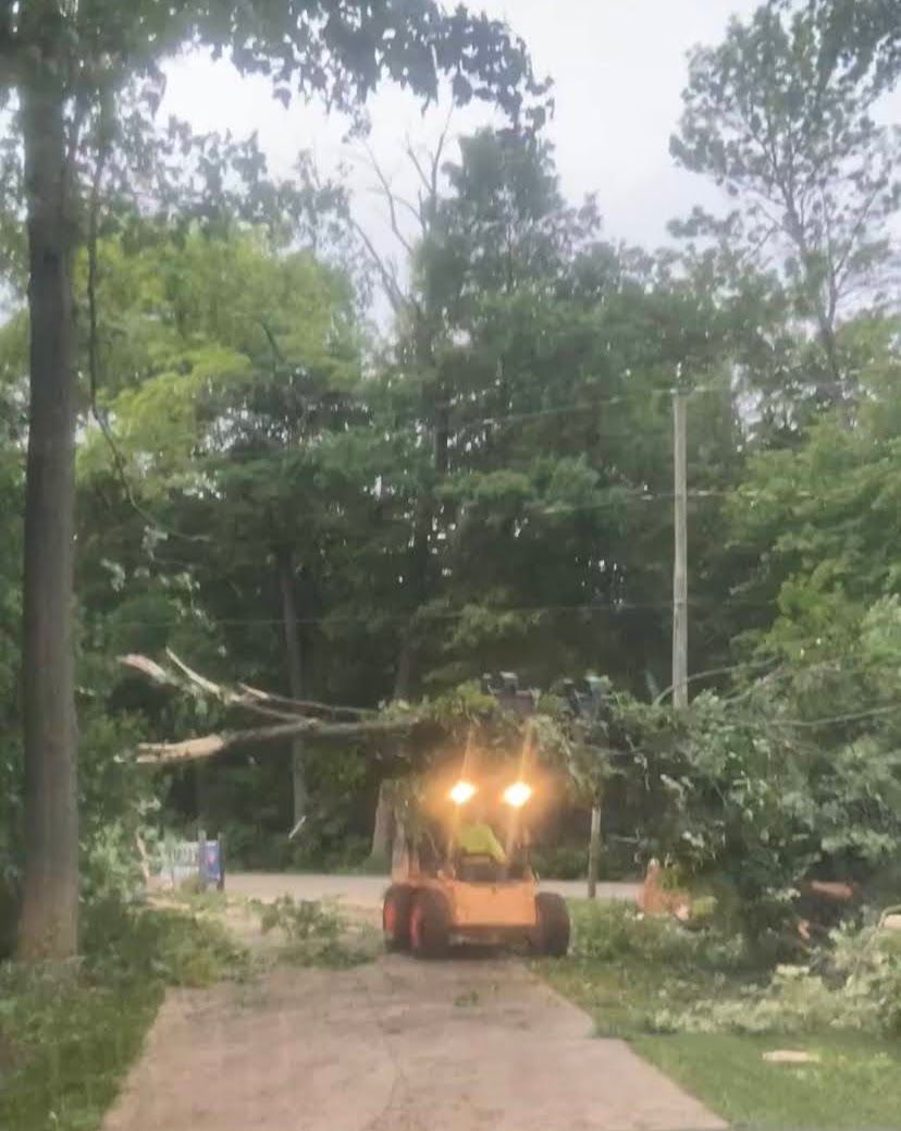 Lifting Removed Tree — New Carlisle, OH — Fincel Lawn Care