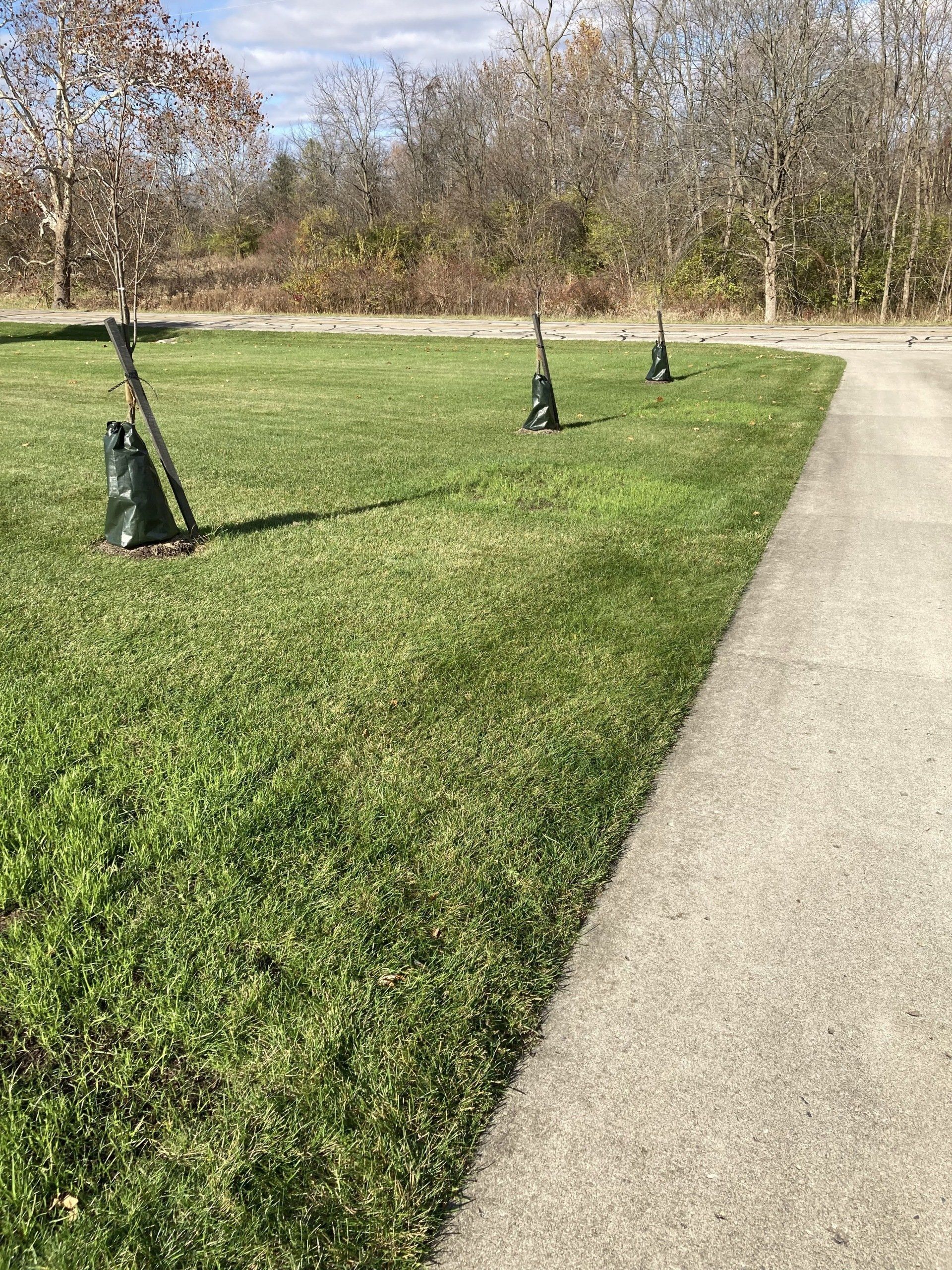 Wide Lawn — New Carlisle, OH — Fincel Lawn Care