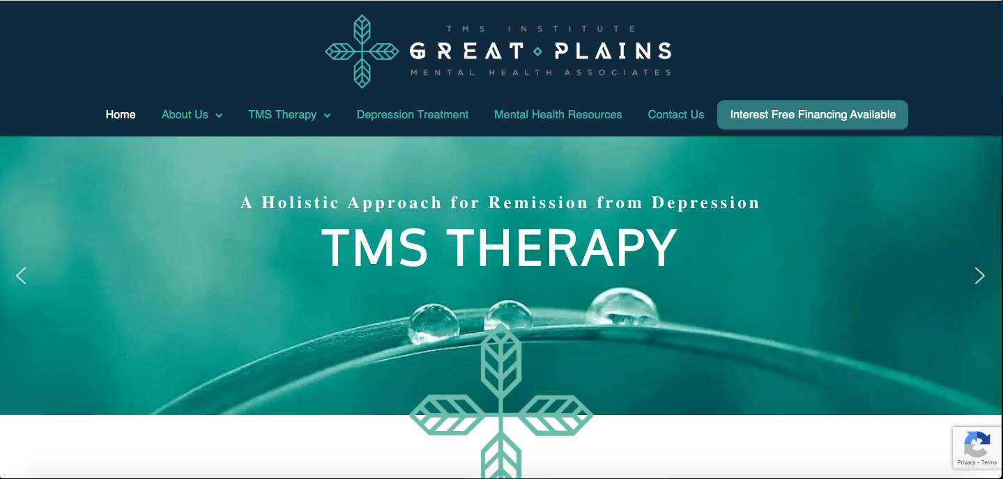 A screenshot of the website for tms therapy