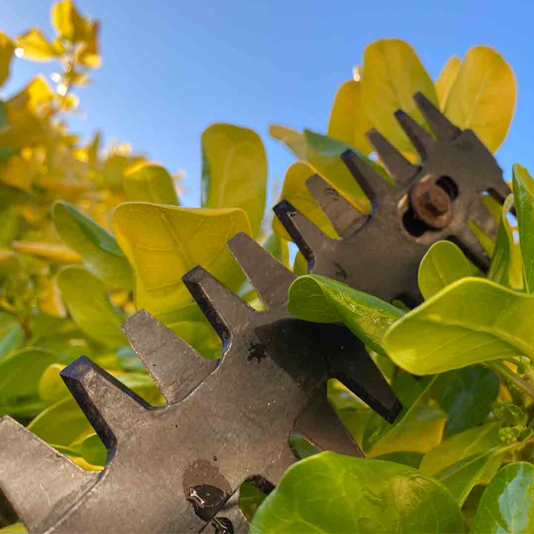 Garden Equipment Repairs
