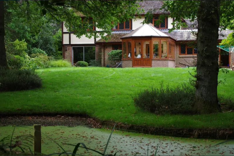 Green grass near the house