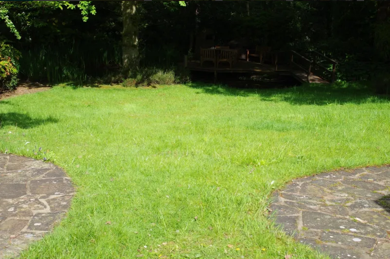 Preparation for landscape with green grass