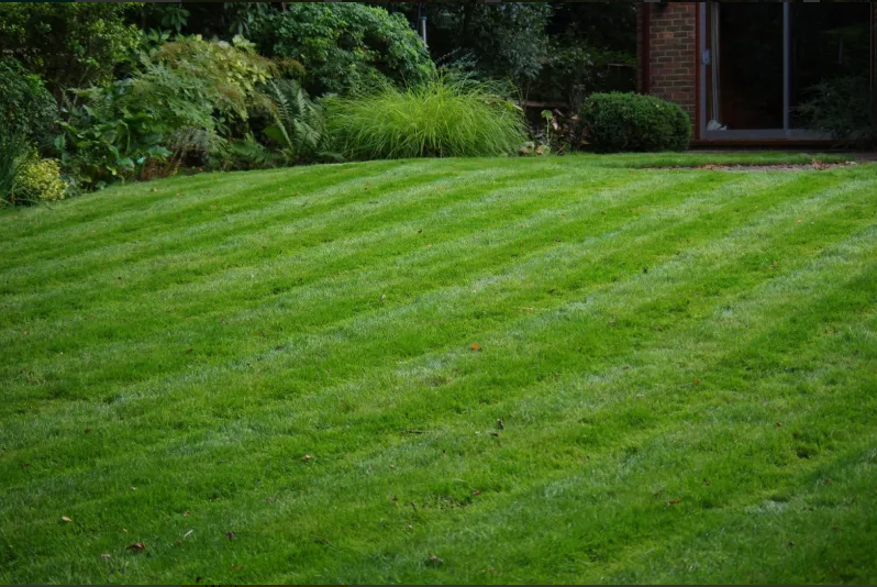 Green grass with lining