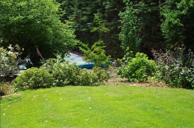 Lush garden landscape